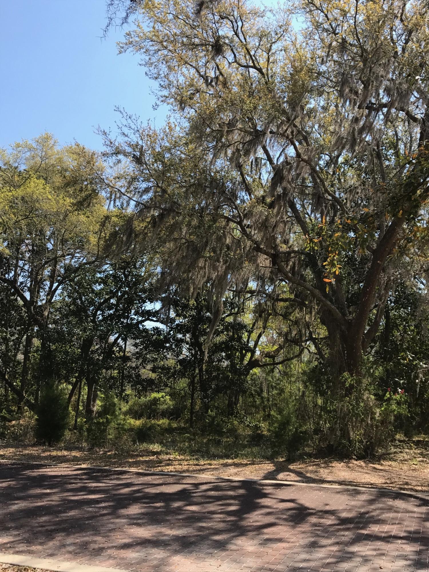 GRAYTON BAYOU - Land