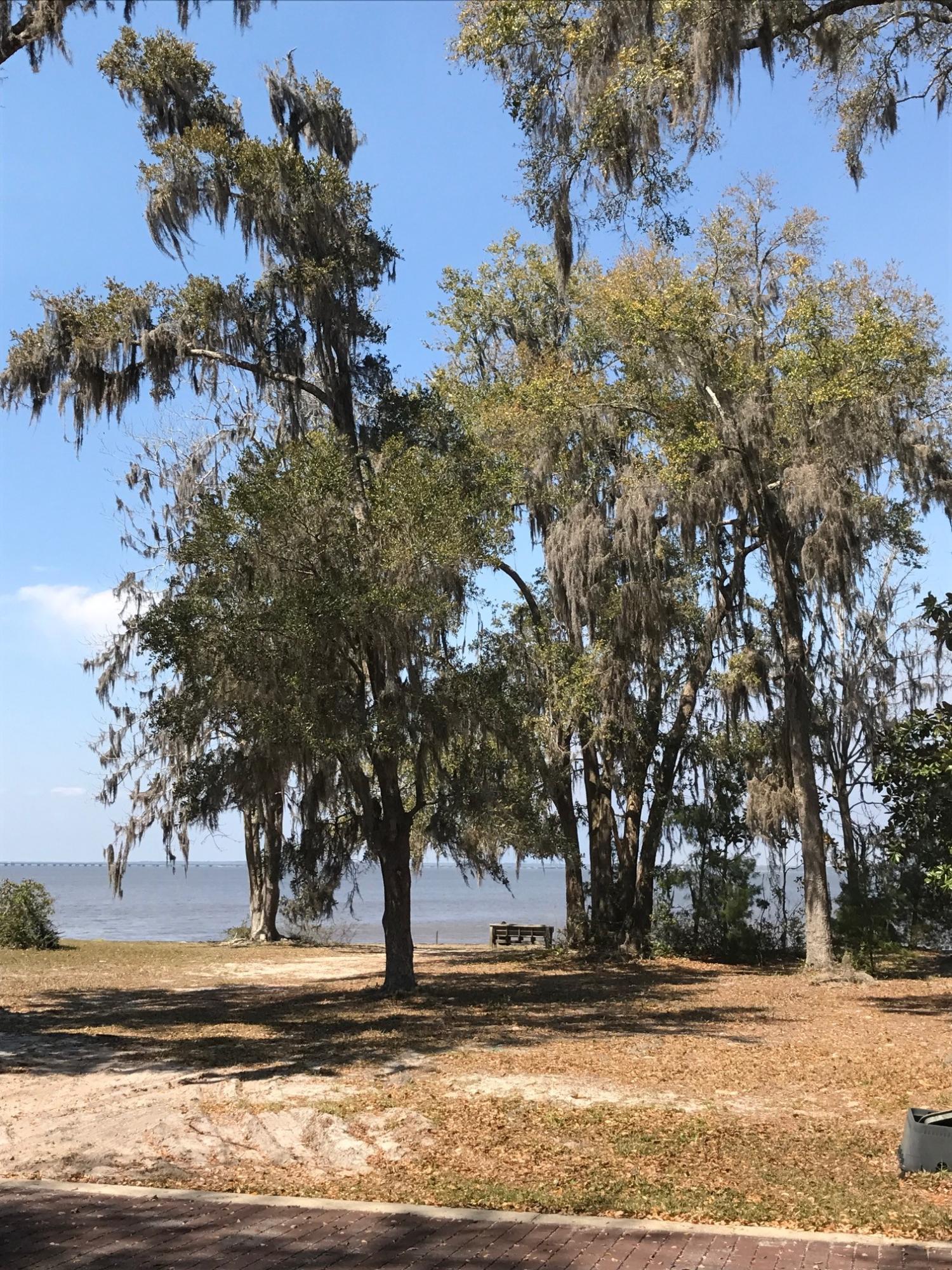 GRAYTON BAYOU - Land