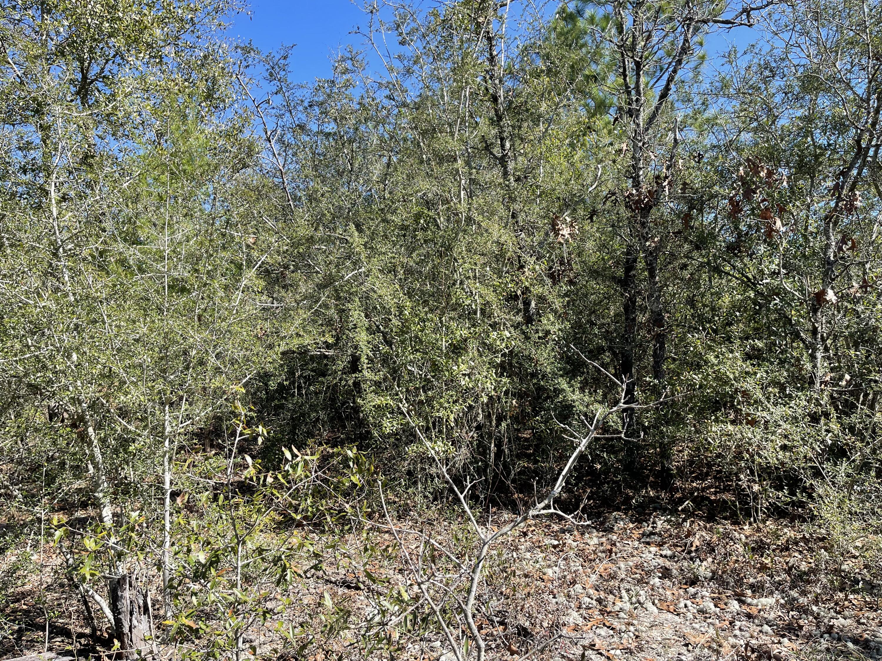 OAKWOOD HILLS UNIT 1 - Land