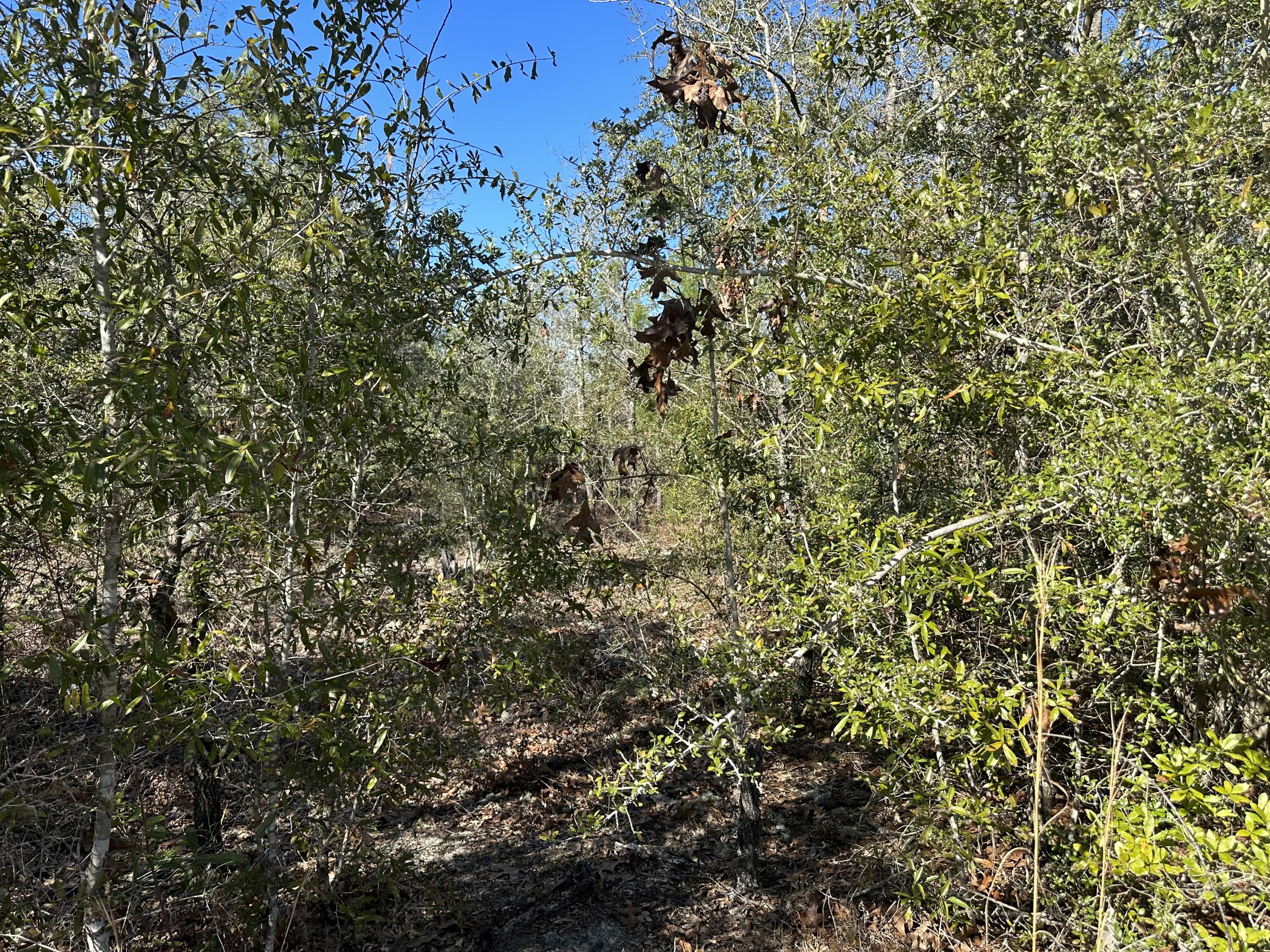 OAKWOOD HILLS UNIT 1 - Land