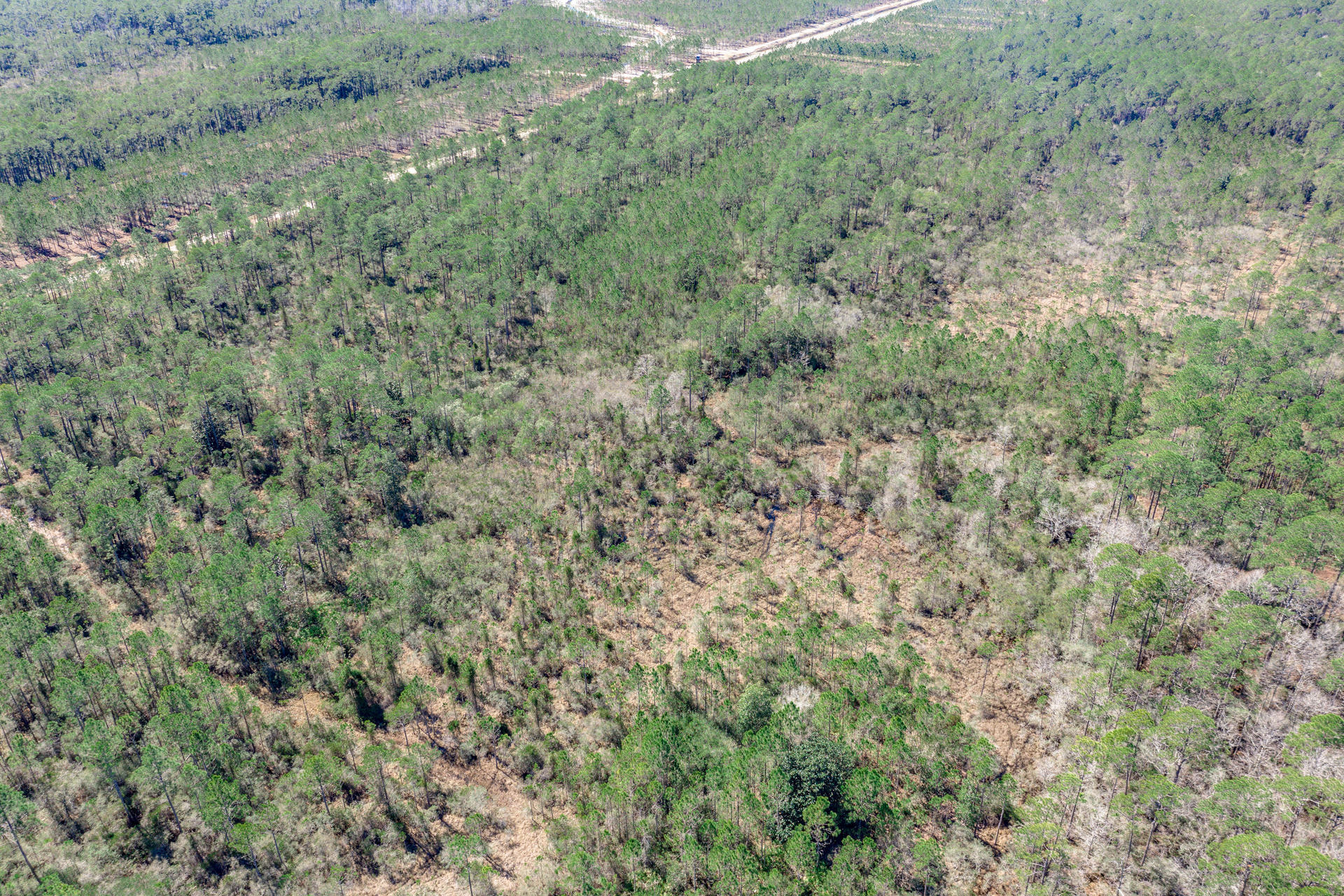SANTA ROSA PLANTATION - Land