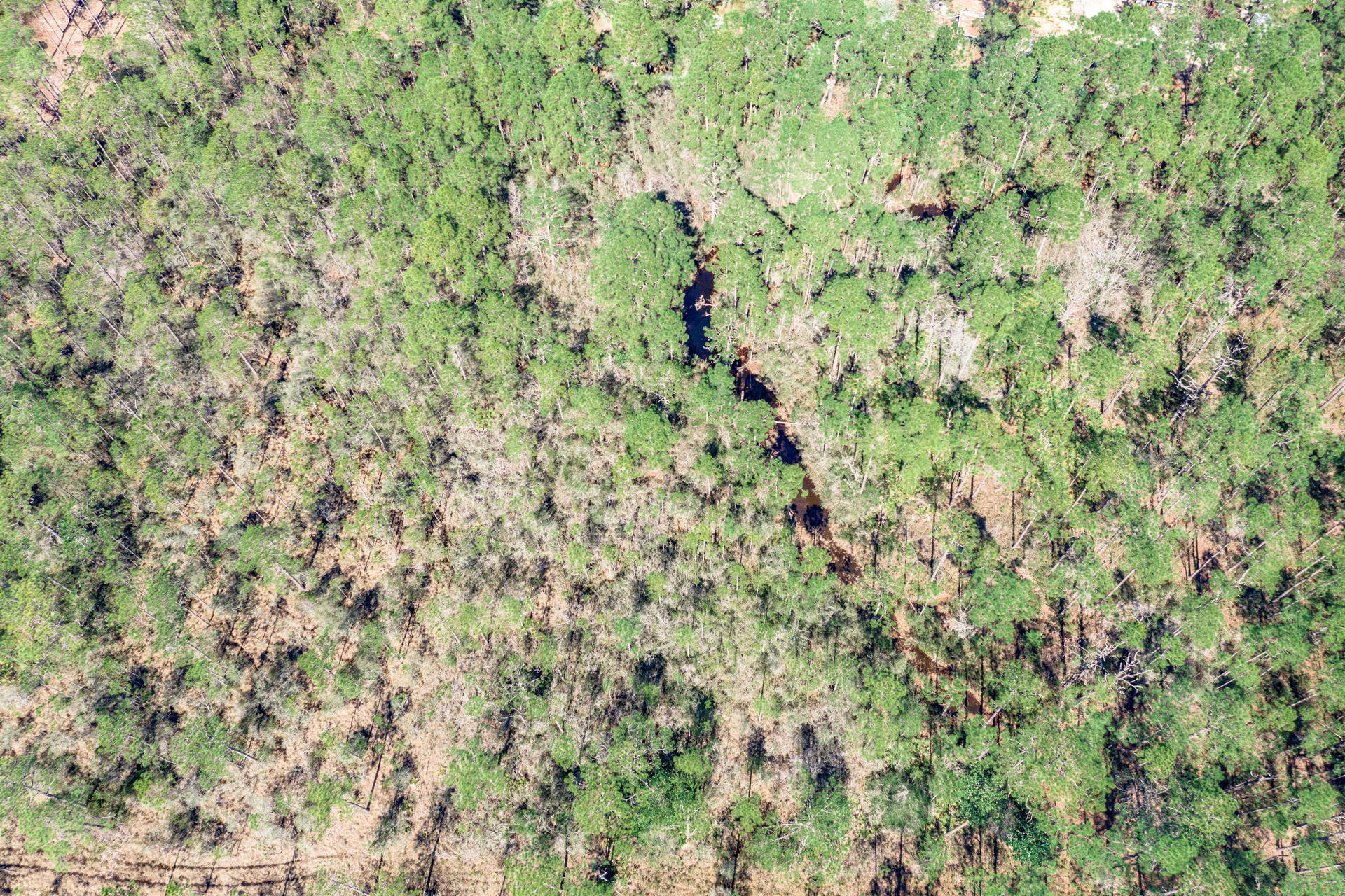 SANTA ROSA PLANTATION - Land