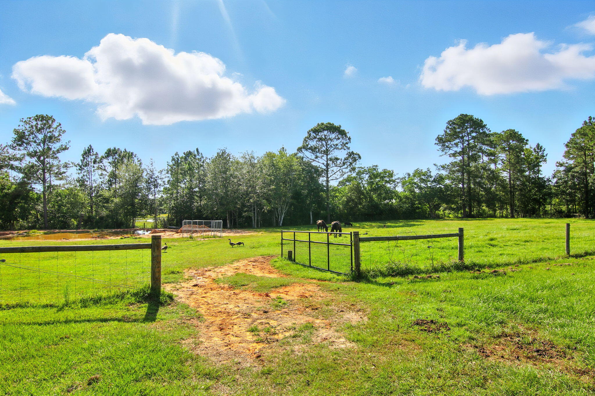 NO RECORDED SUBDIVISION - Residential