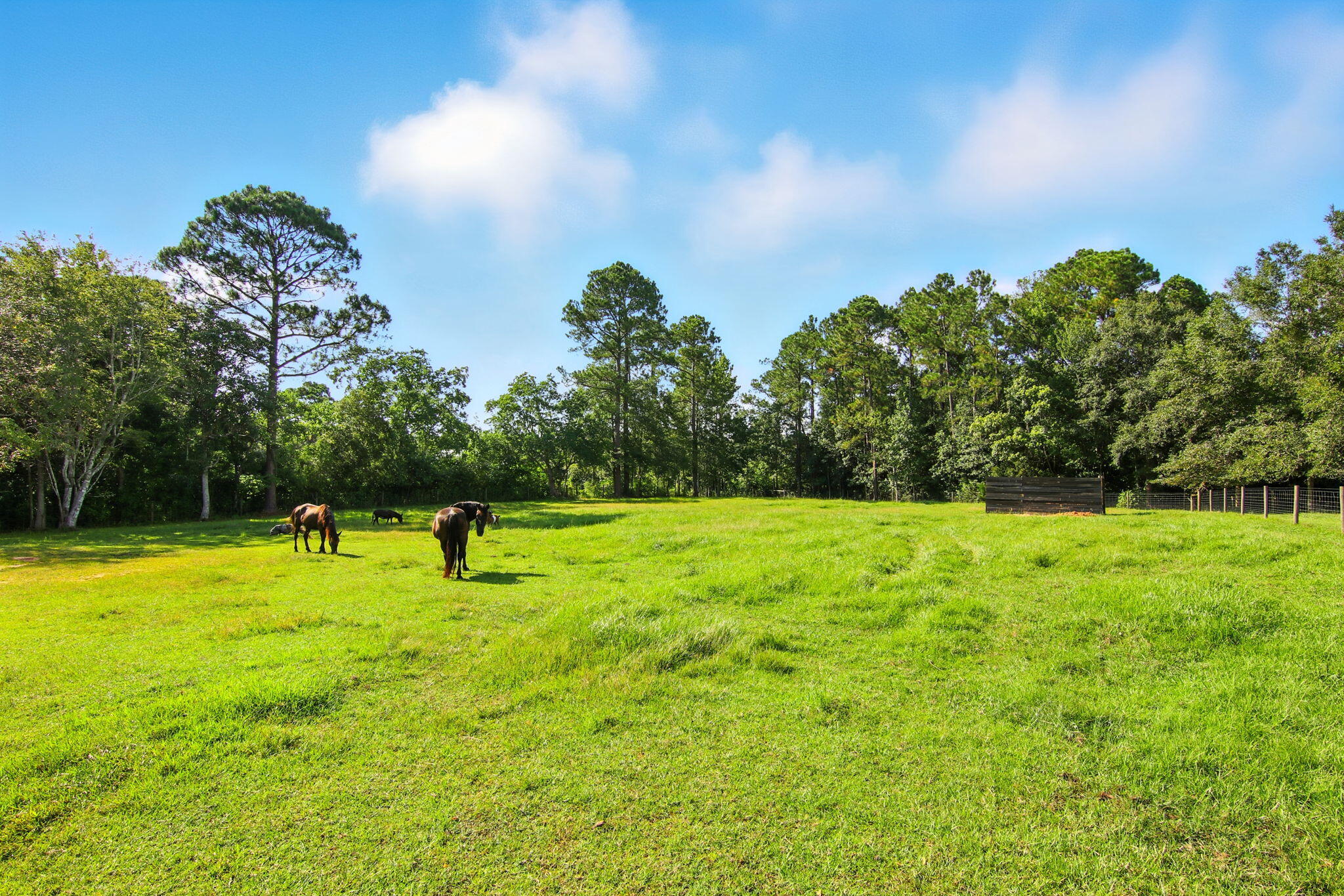 NO RECORDED SUBDIVISION - Residential