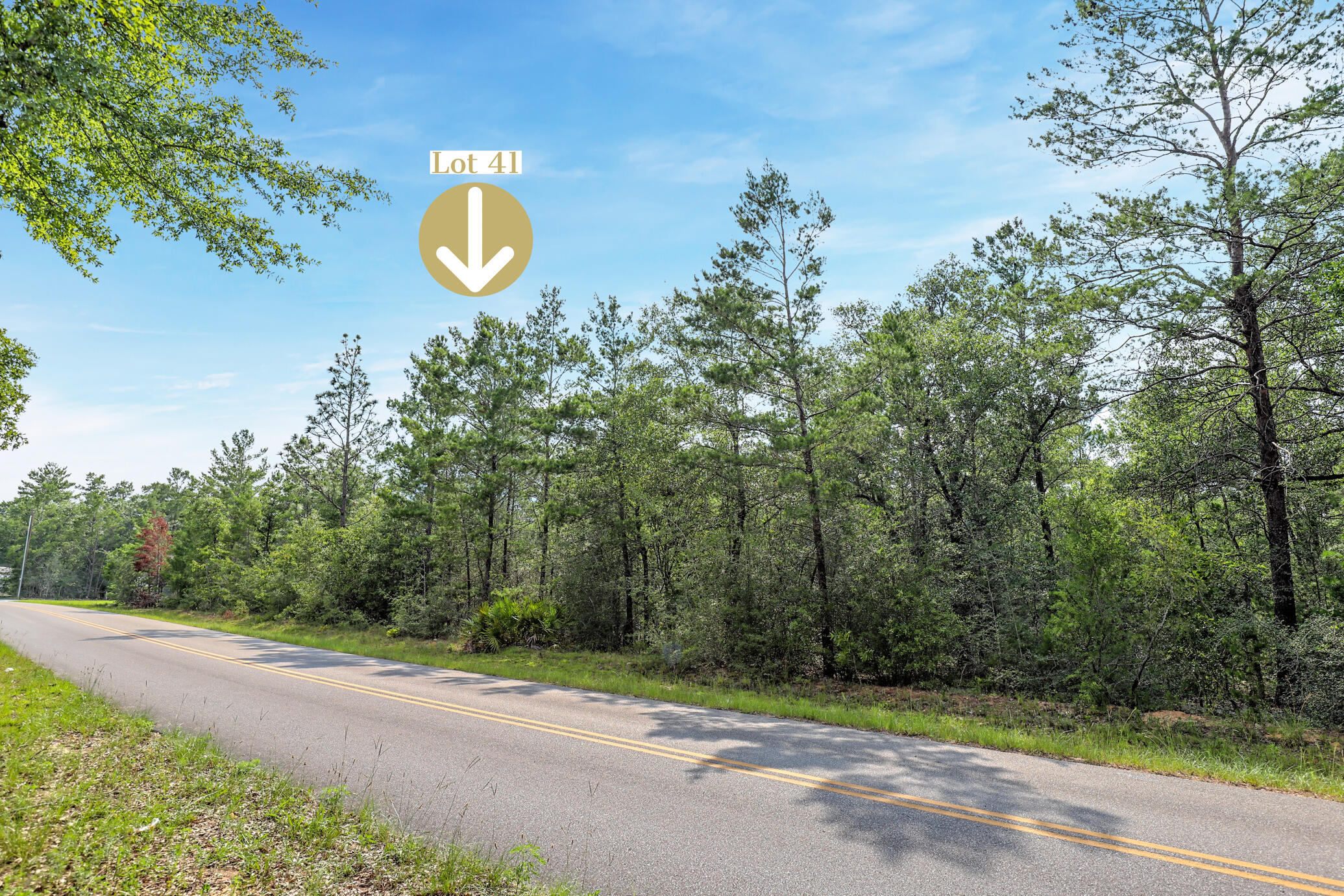 Fantastic Location with No HOA Fees! Ideal for building your dream home or setting up a mobile home. This vacant wooded lot spans 0.36 acres and offers convenient access to major highways such as I-10, 331, and HWY 90. It is located just 0.6 miles away from HWY 90 and less than 7 miles from hardware and grocery stores, schools, downtown, and the captivating historic Lake of Defuniak. Nature enthusiasts will be thrilled to discover the abundance of outdoor activities nearby, including fishing, golfing, national parks, and the stunning beaches of the Emerald Coast. Additionally, this property is situated near popular cities like Niceville, Crestview, Destin Florida, 30A/Seaside, and Panama City Beach. Adjacent lot #42, is also available for sale MLS #
There are NO utilities in place. POWER: Available in the area. WATER: It would be public water. SEWER: It would be Septic.
Claim your piece of Florida land!
GPS location: https://goo.gl/maps/CjRs2QJwWTLedxrh8