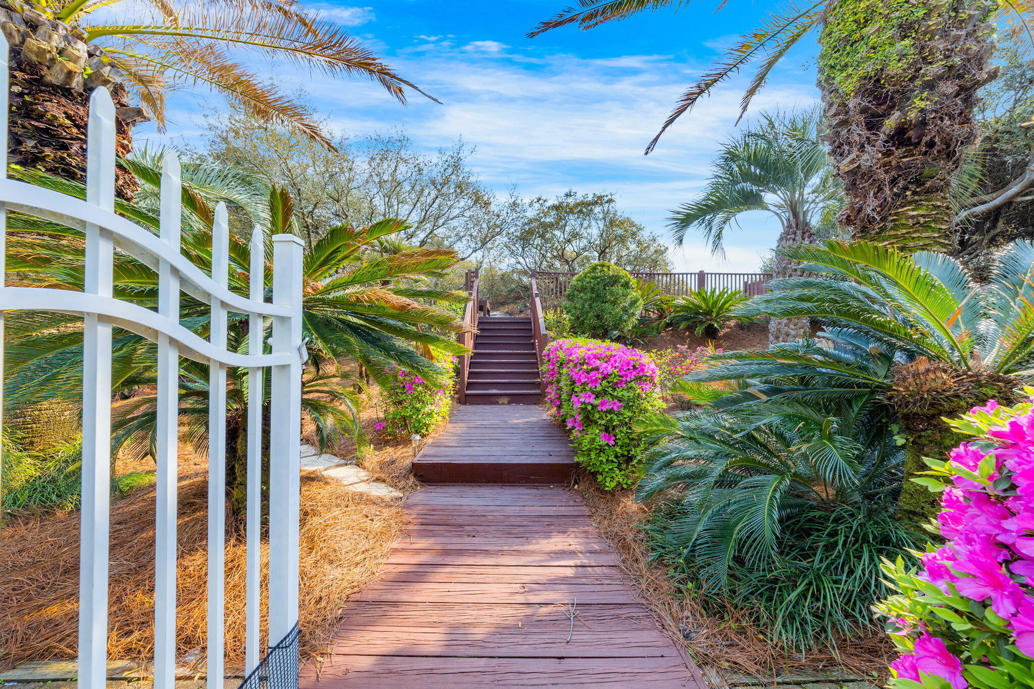 SECLUSION DUNES - Residential
