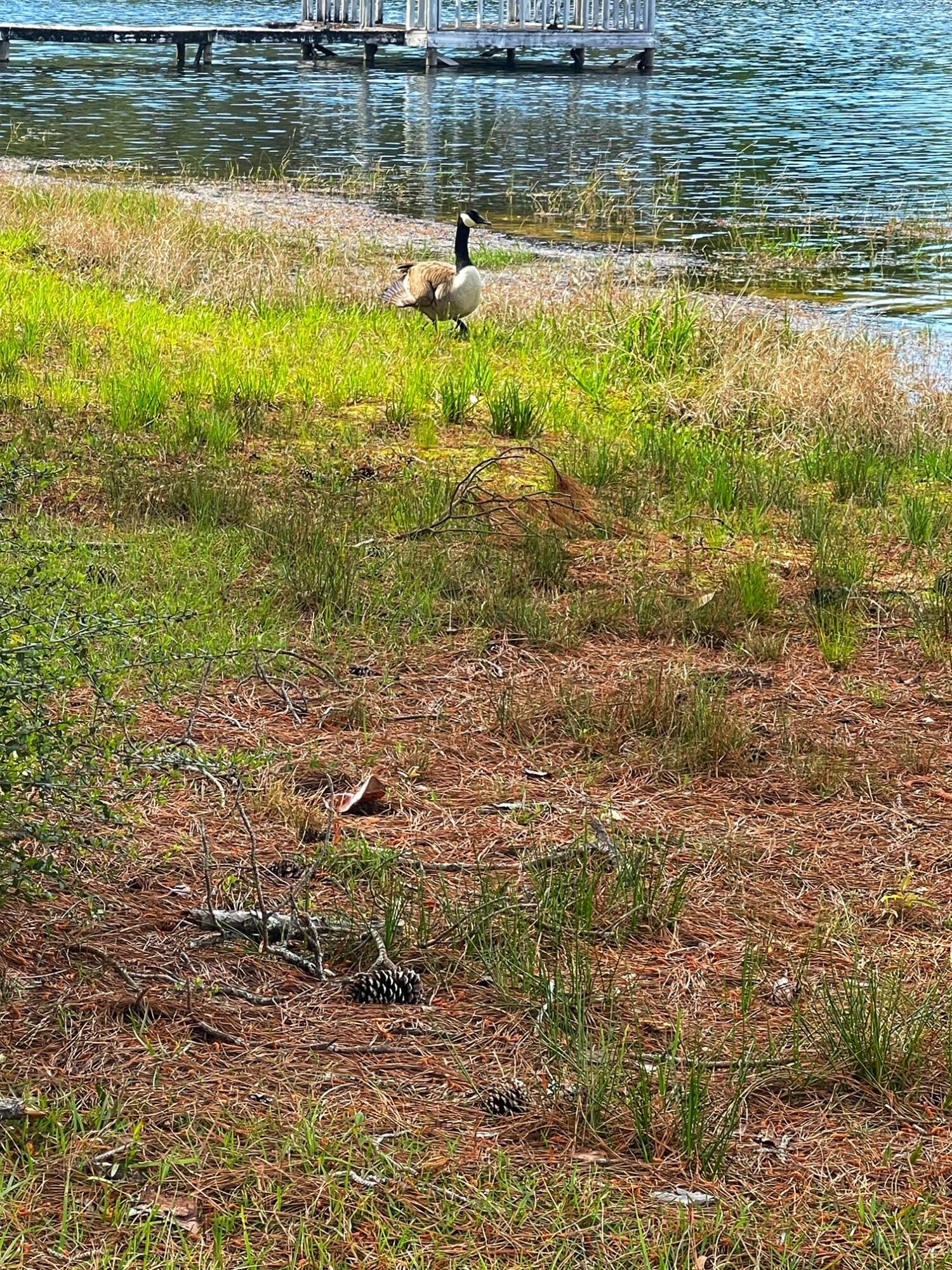 LAKE JUNIPER ESTATES UNIT 2 - Land
