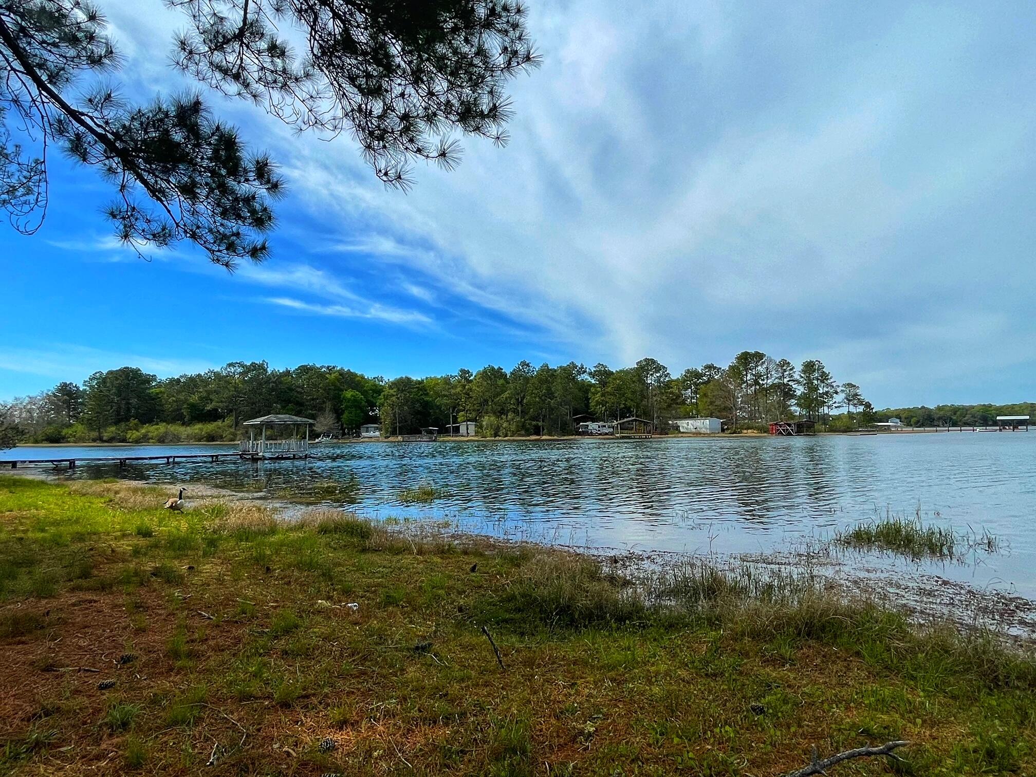 Beautiful waterfront lot (almost 1 acre). 200 feet of expansive, waterfront views! This lot has 2 'tiny' homes that are just waiting for the new buyers to finish them out. The homes are both deemed safe for winds reaching 150 mph as per the manufacturer. In addition to the tiny homes, the seller has 2 new storage buildings/workshops on the property. All utilities are on the property to include- water, septic and electric. Juniper lake is a state managed lake and is known for it's record bass and bream. Come check it before it's gone! All measurements must be verified by buyer.