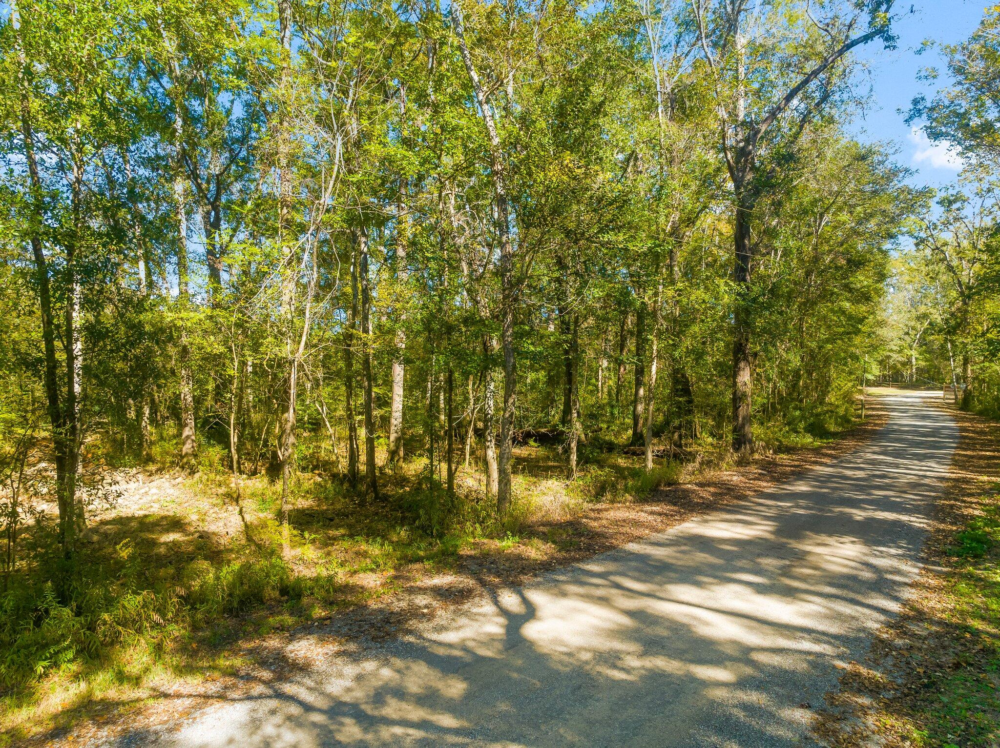 Don't miss out on the chance to build your dream river house on this stunning waterfront property along the Choctawhatchee River. Located just a minute's walk from the serene Ronnie E Bell Park at Commander Landing in Walton County, FL. This riverfront lot offers the perfect escape for nature lovers and outdoor enthusiasts alike.