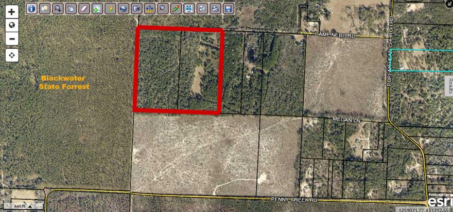 Sale includes two parcels totaling 40 acres. This is beautiful timber zoned land can be great for hunting as it adjoins with Blackwater Forest. Just approx 1 mile from River with access by two roads. Perfect for the Hunter or a Get a Way for the leisure person.