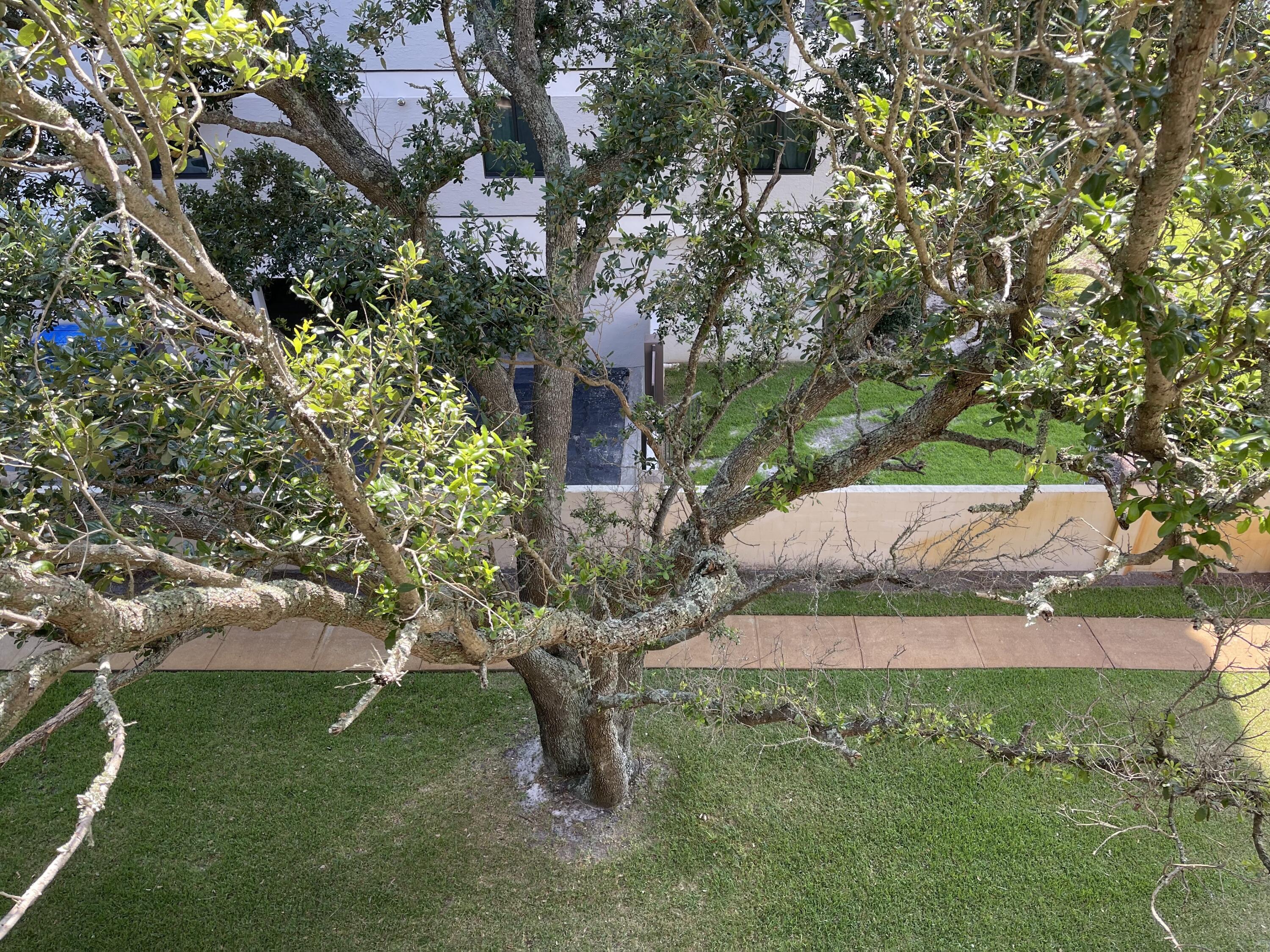 PIRATES BAY PH I - Residential