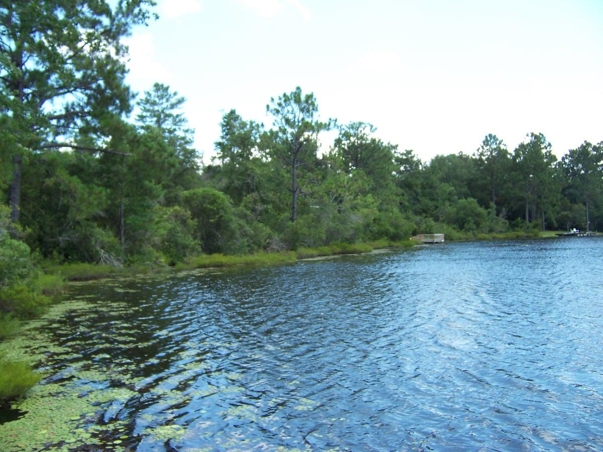 MAGNOLIA LAKE ESTATES PH 1 - Land