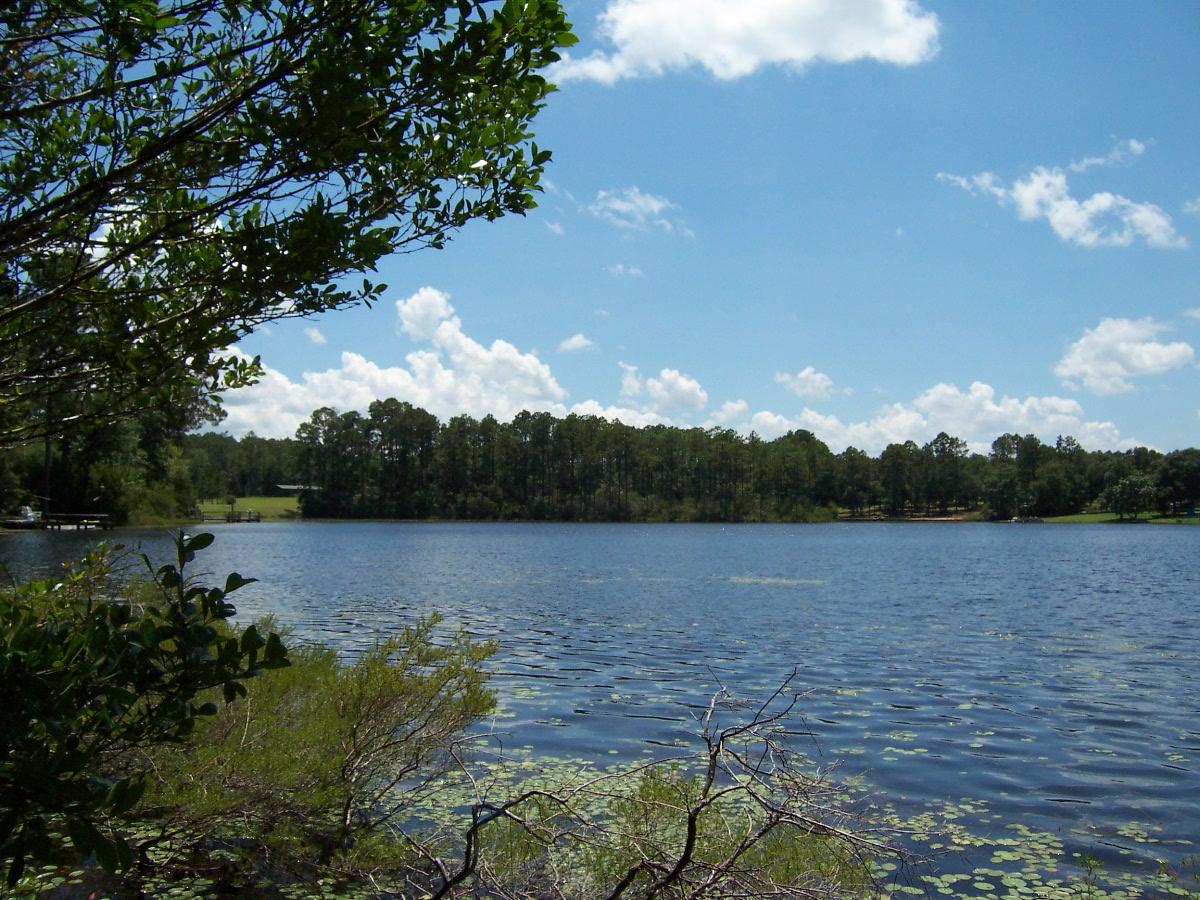 MAGNOLIA LAKE ESTATES PH 1 - Land