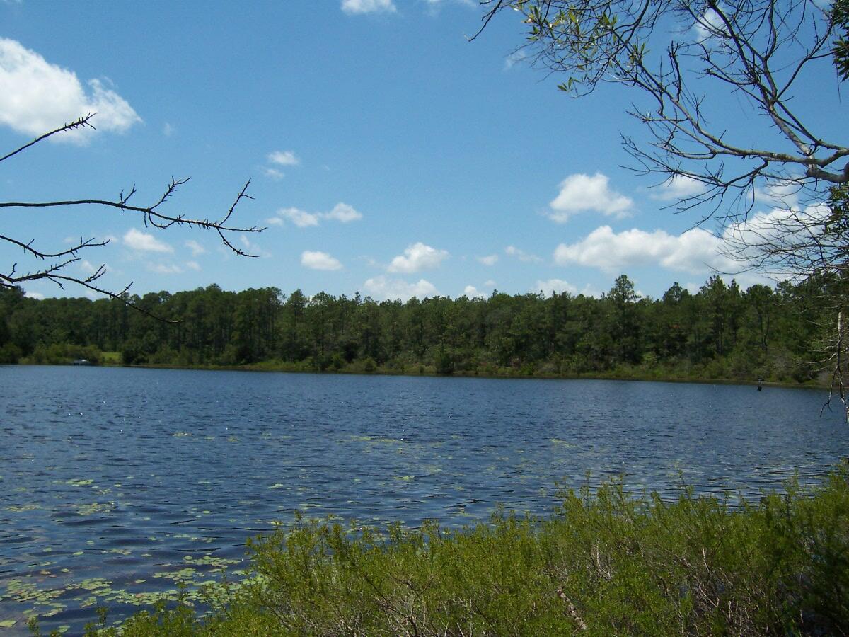 MAGNOLIA LAKE ESTATES PH 1 - Land