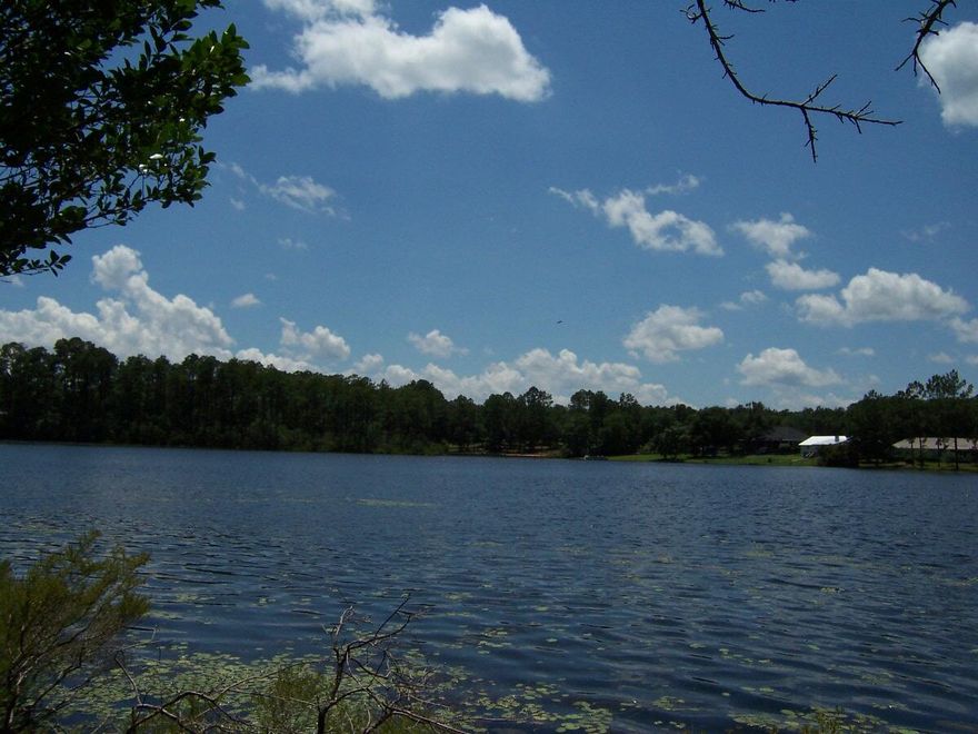 Excellent Lakefront lot in Magnolia Lake Estates. Lot is mostly level by the road and gently tapers to the lake. Mostly cleared with some nice Hardwoods left for the yard. This lot is at one of the widest points on the biggest lake in the subdivision. Upscale Subdivision with underground utilities and low HOA fees.  Lot is in an excellent location walking distance to the Wee Care Park. Subdivision is on a closed loop at the end of the road with a gated feel. The common area pavilion and dock are Just a few hundred feet away. The lot next door is also for sale.