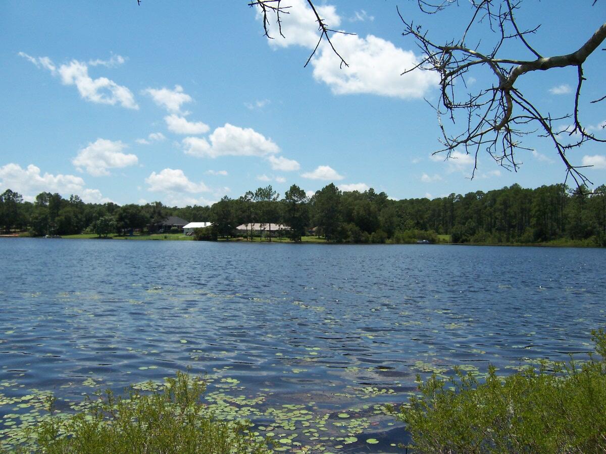 MAGNOLIA LAKE ESTATES PH 1 - Land