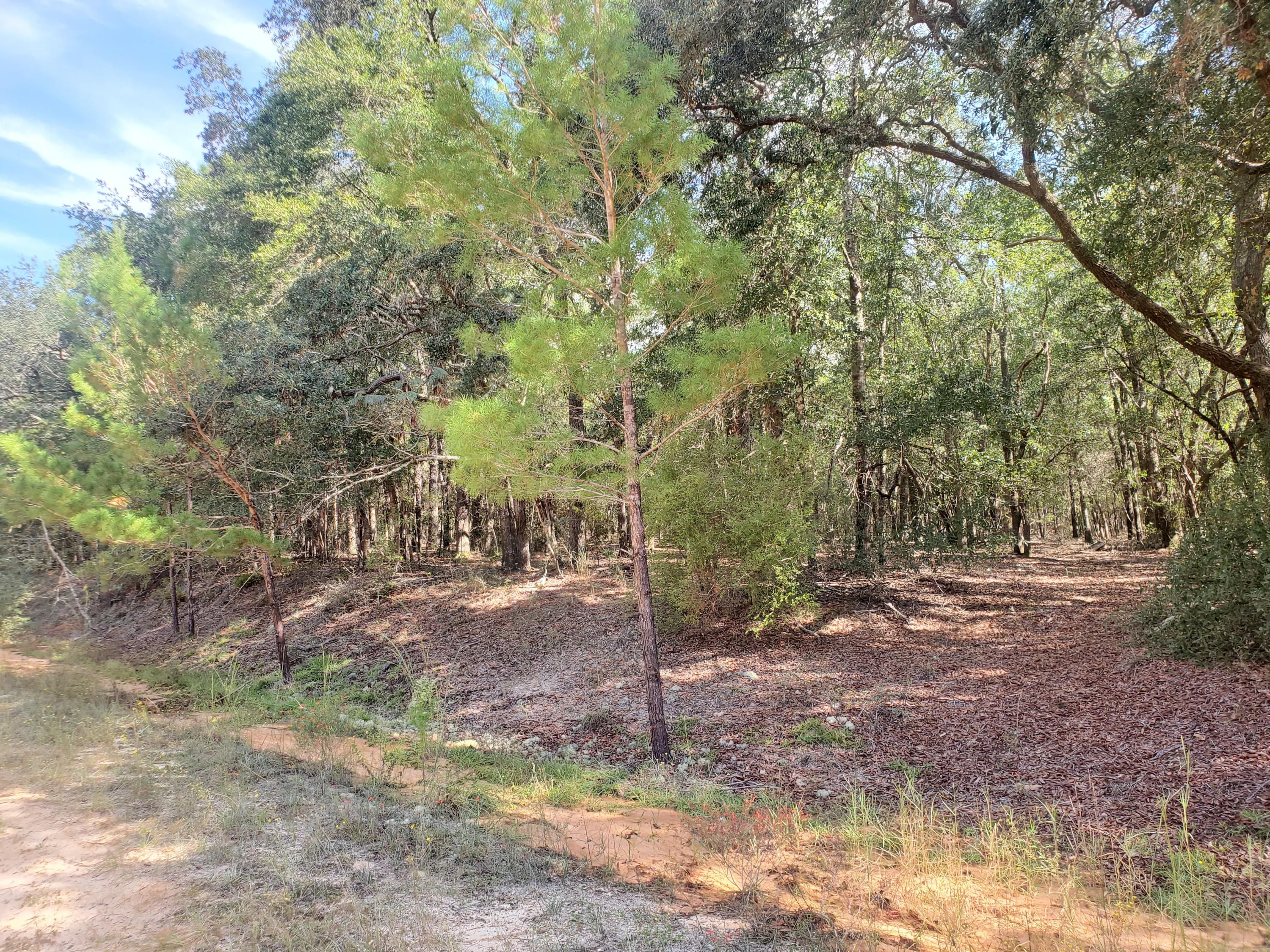 CLEAR CREEK ESTATES - Land