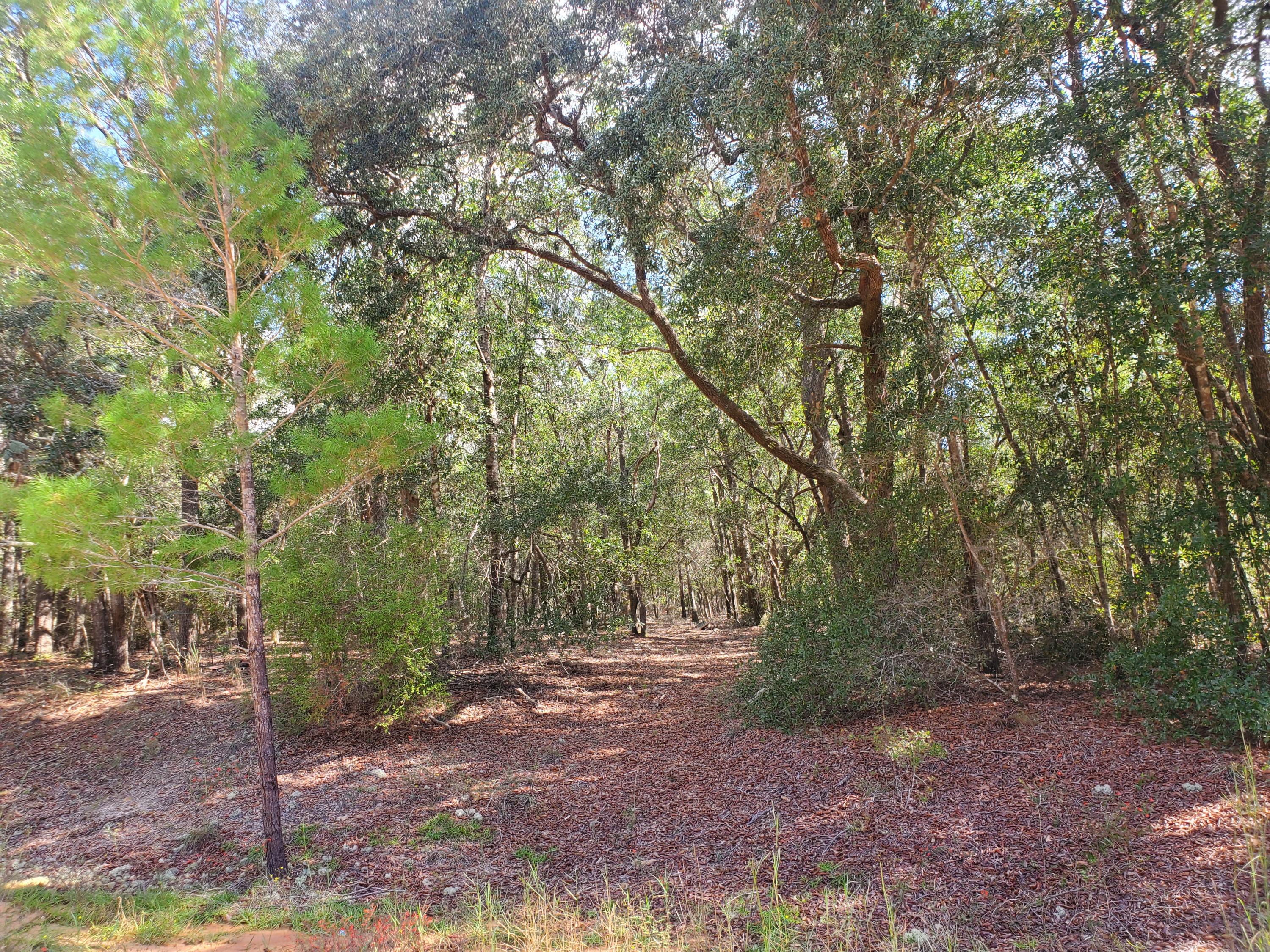 CLEAR CREEK ESTATES - Land