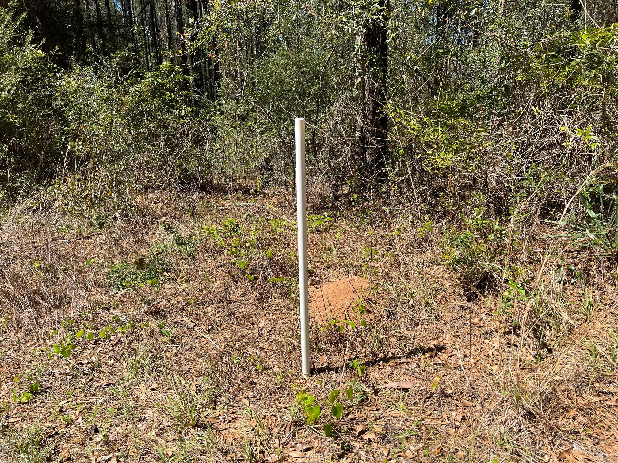 REEDY CREEK S/D - Land