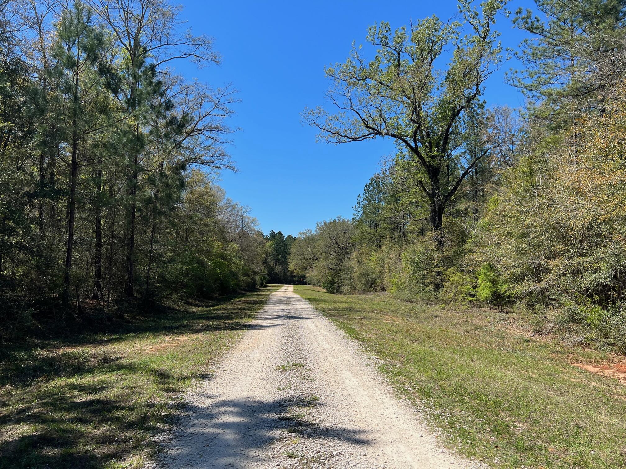 REEDY CREEK S/D - Land