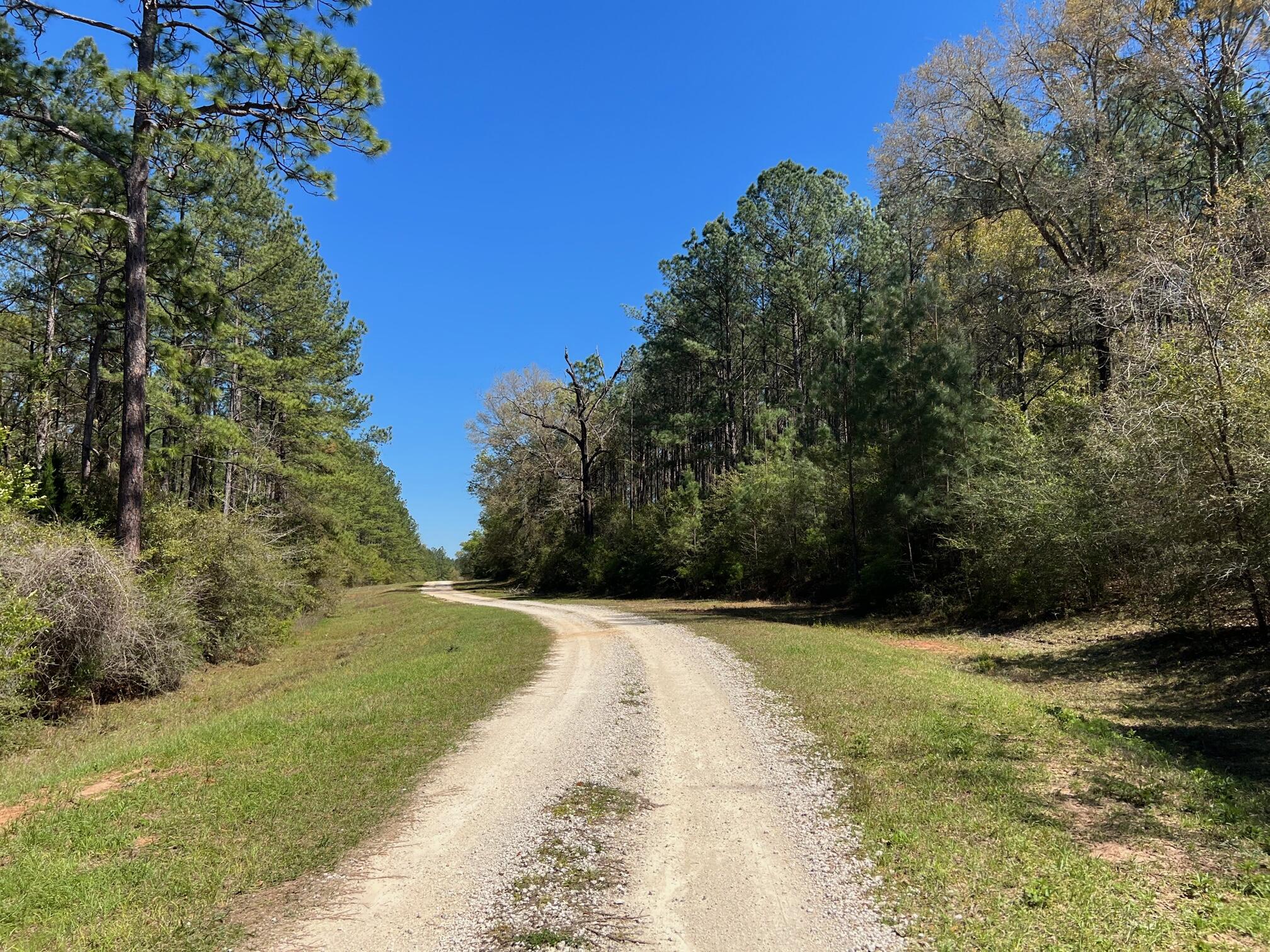 REEDY CREEK S/D - Land