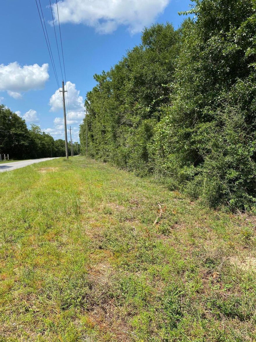 Don't miss out on your own 5.4 acres of paradise just 23 minutes from Niceville. This beautiful wooded property is the perfect location for your custom built home away from the hustle and bustle but minutes away from I-10. Definitely a rare opportunity for those developers at this price range that can see the potential with the influx of buyers needing a home. This property is sold 'As Is' with endless possibilities! Buyers to verify all measurements and information.