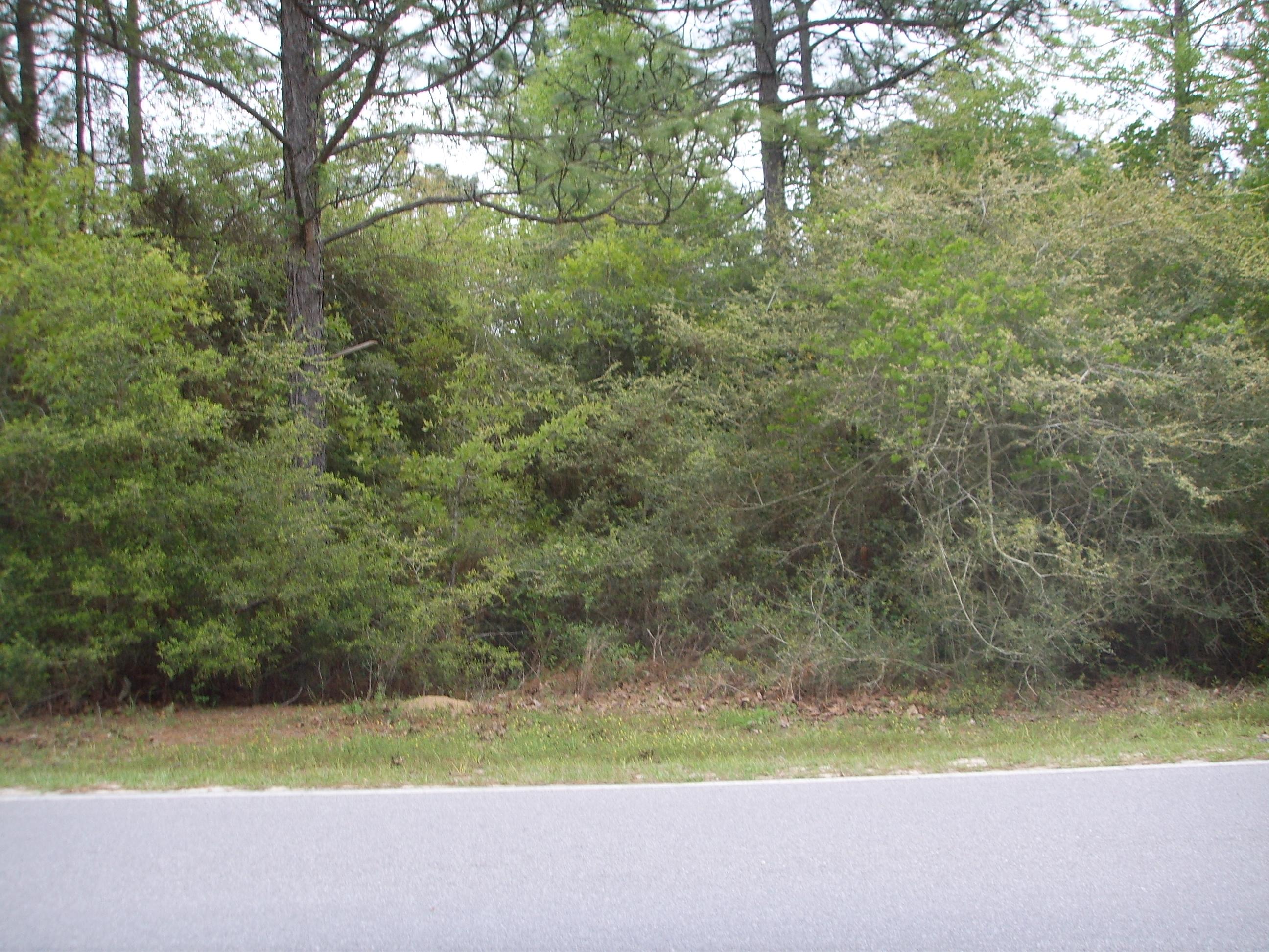 QUAIL RIDGE EST LAKES ADN - Land