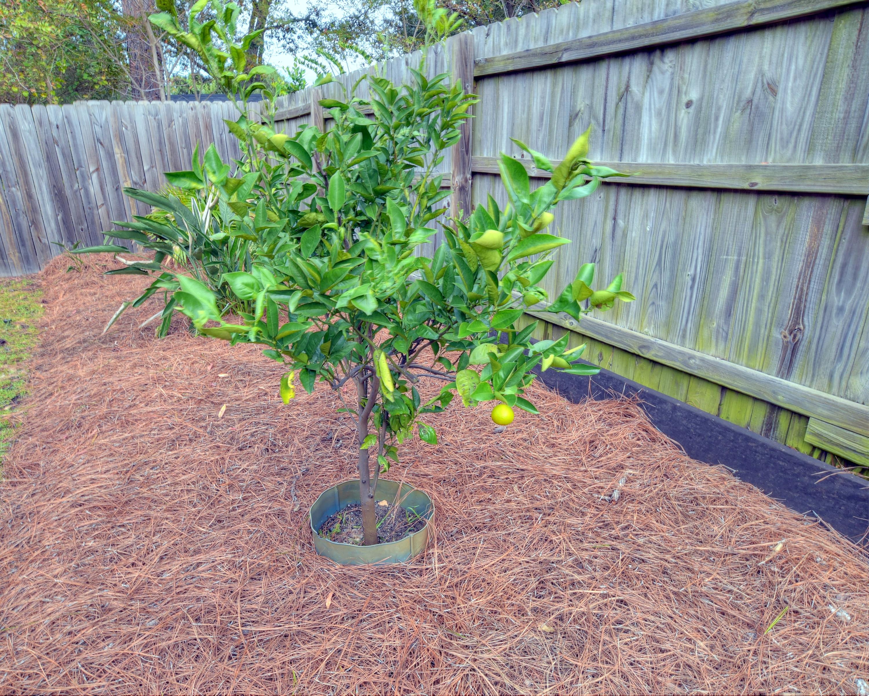 DOROTHY BOWEN ESTATES - Residential