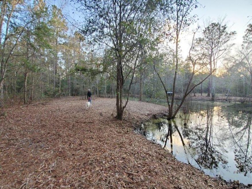 This property is uniquely situated with 2.55 acres on the south side of Shadow Lane  The current zoning is Estate Residential.