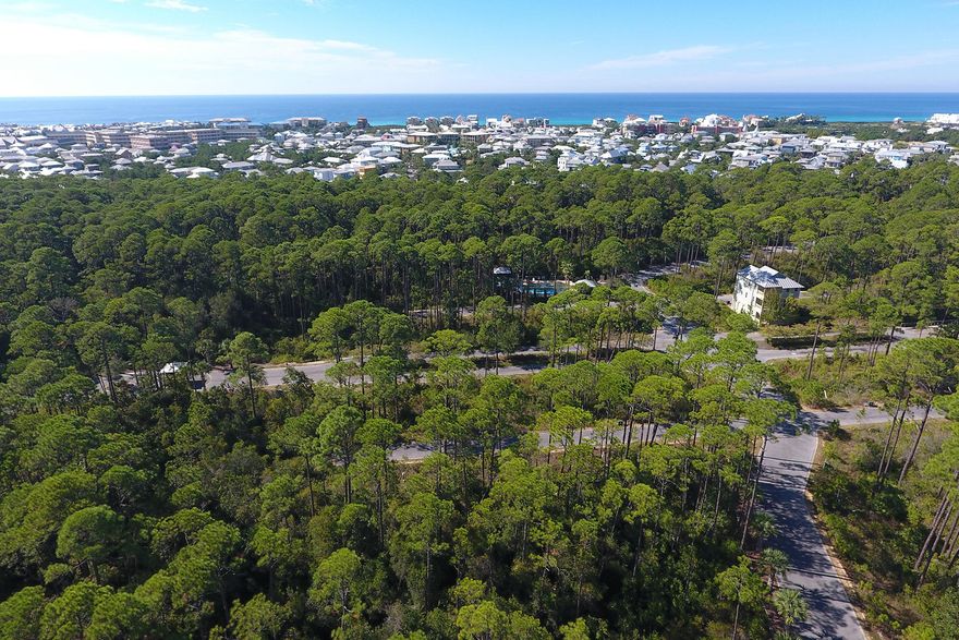 Build your dream vacation home or full-time residence on this amazing lot in the gated community of Treetop in South Walton. Treetop is ideally located south of US 98 near all the restaurants, shops and entertainment at Rosemary Beach and Alys Beach. Treetop also connects to Seacrest Beach through a security gate for easy access to Scenic 30A. Treetop has a community pool and deeded beach access.
