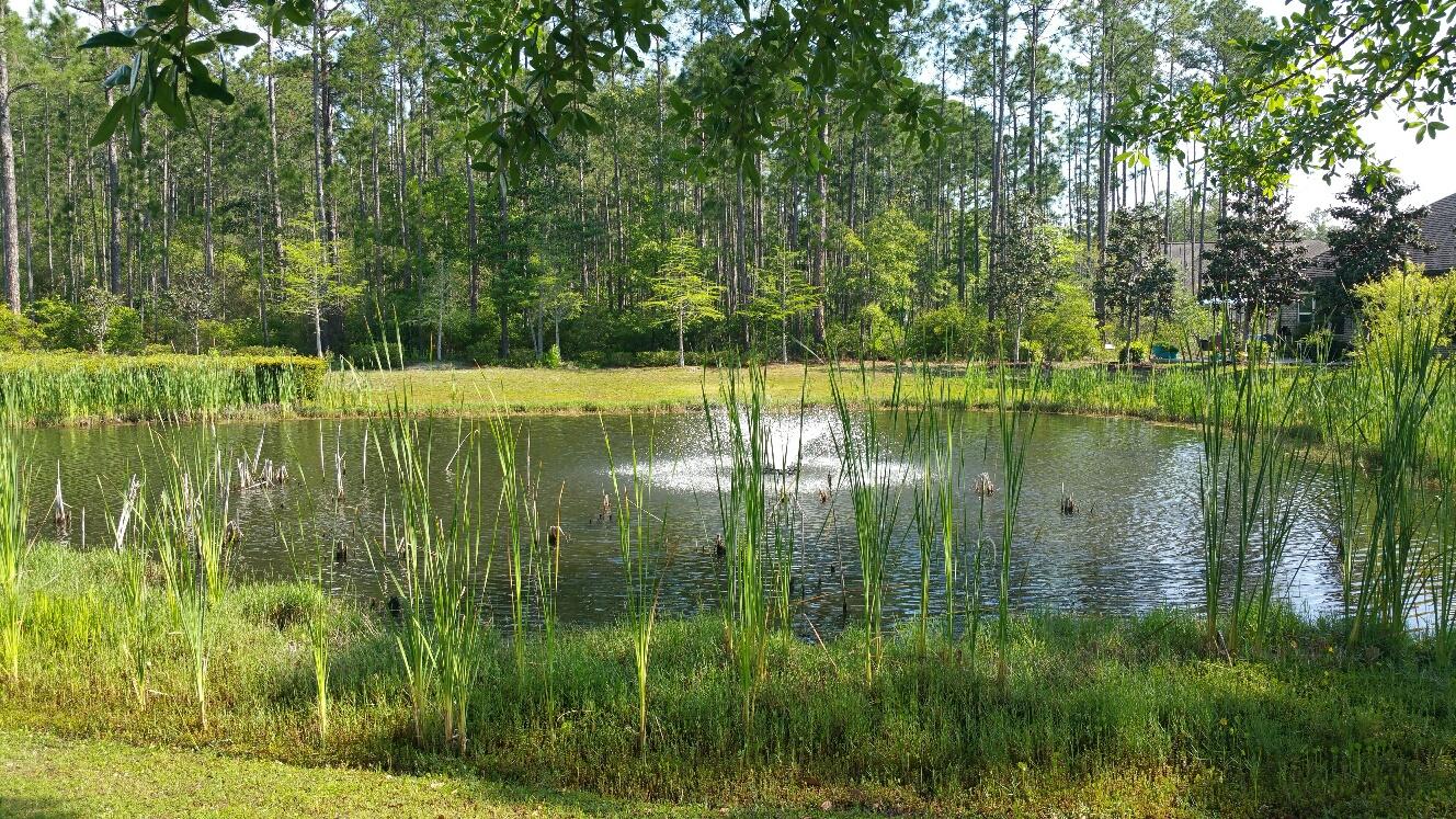 Marina Village - Land