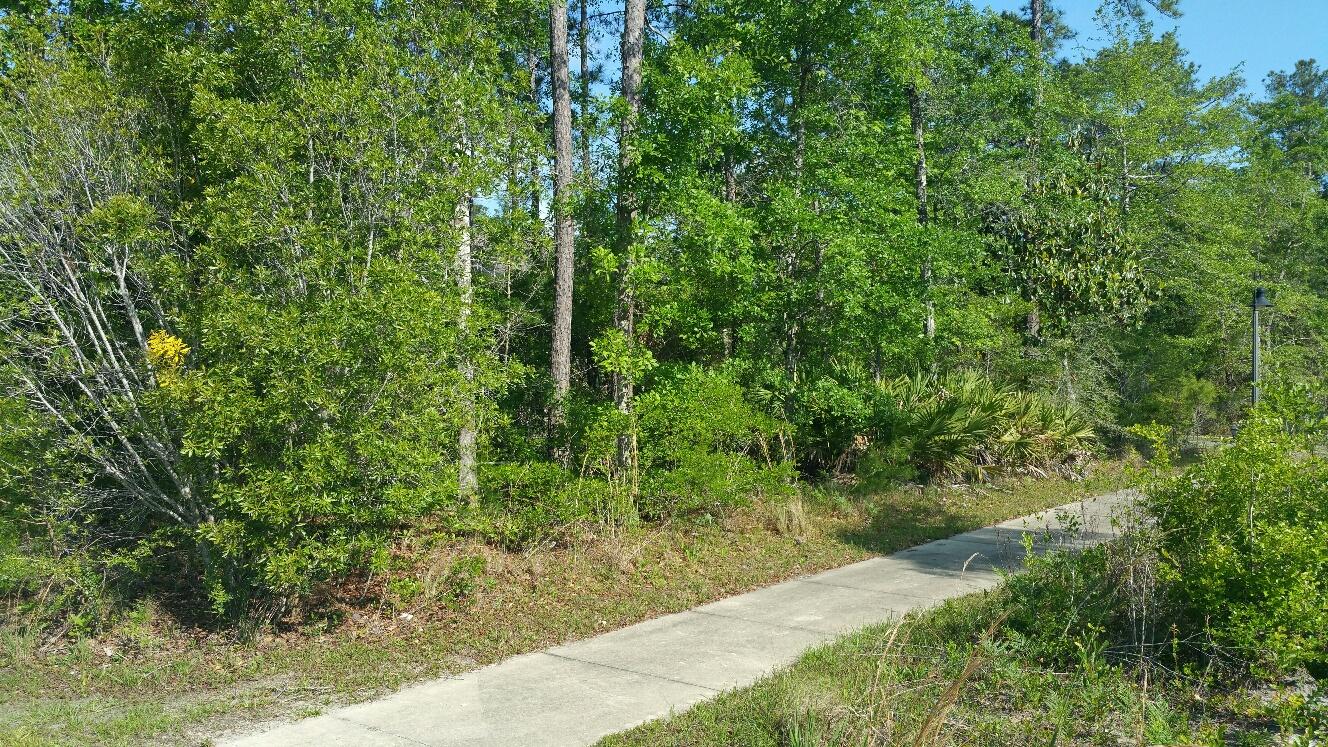 Marina Village - Land