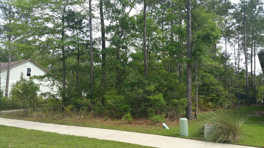 Here is your chance to own a nicely wooded +/- 0.16 acre lot (Flood zone X) in well-established Marina Village. In addition, Sewer & Water Tap fees have already been paid! With both a marina and a pool, it's an ideal place for water enthusiasts to build their dream home!Deep water Freeport Marina on LaGrange Bayou has slips, a ramp, laundry, showers, fuel, a ships store, plus dry storage for all of your bigger toys!Although Randy Wise Homes is currently building a number of homes in the subdivision, this lot allows you to choose your own builder(Home plans will need approval from the Architectural Review Board).
