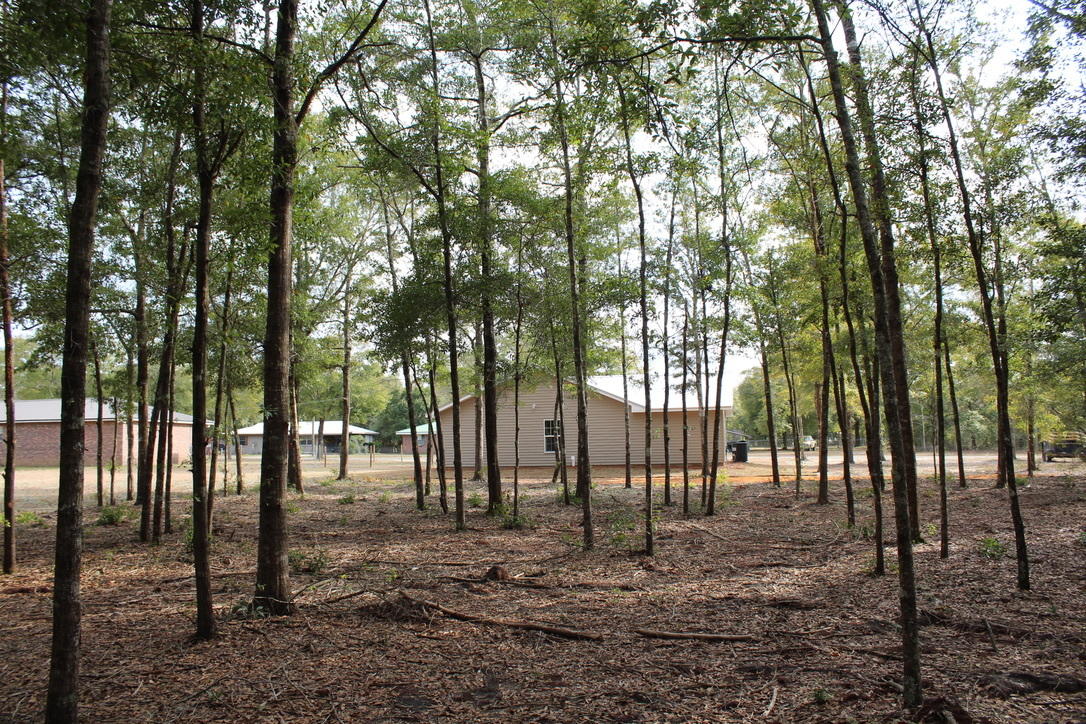 Brand New!  Four Bedroom!  Hurry! - Residential