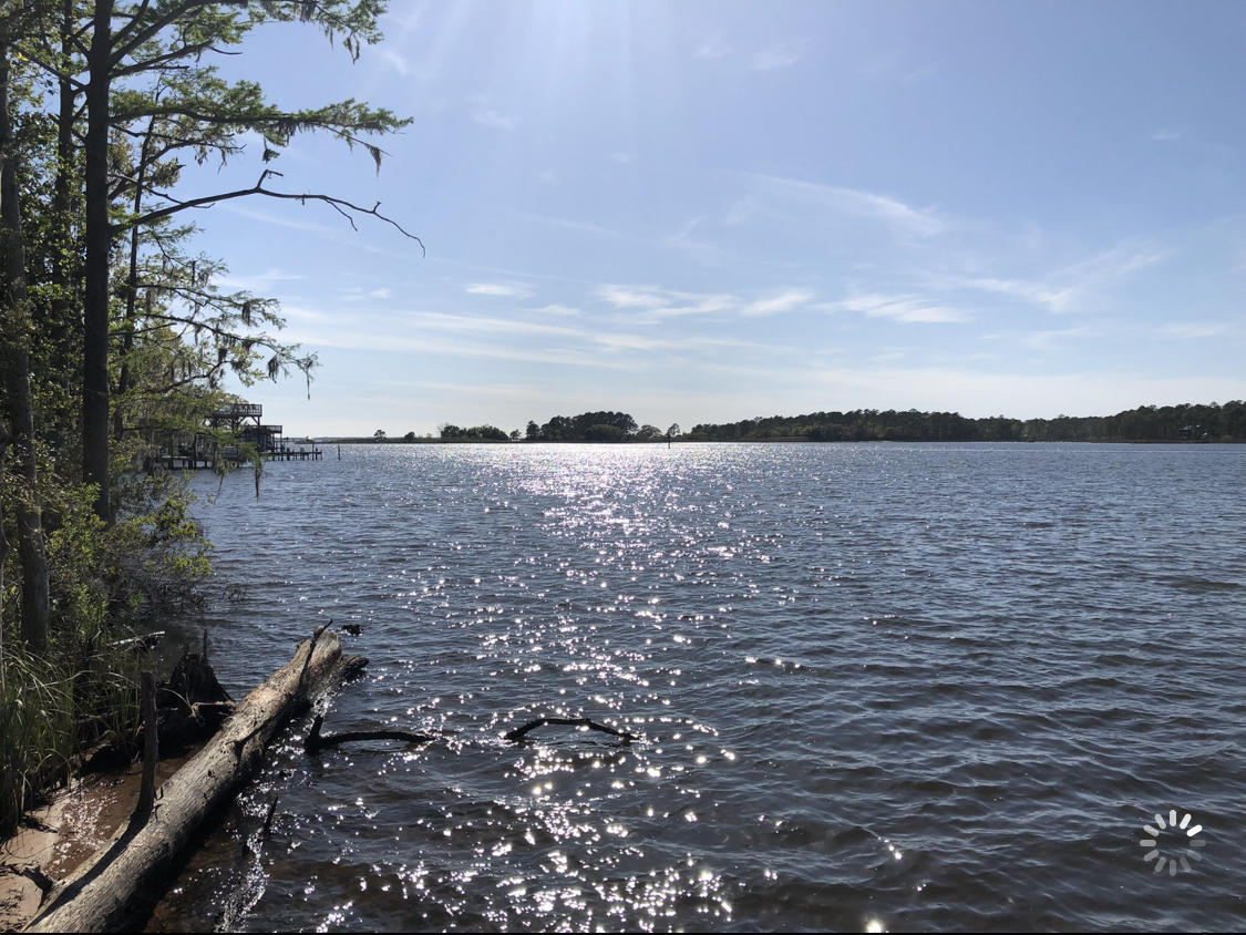 An amazing lot facing west with gorgeous sunsets on Lagrange Bayou. Build your dream home within the designated ''X'' zone. With 97' on Lagrange bayou and 325' - 350' in depth, enjoy 1/2 acre of land with trees.
