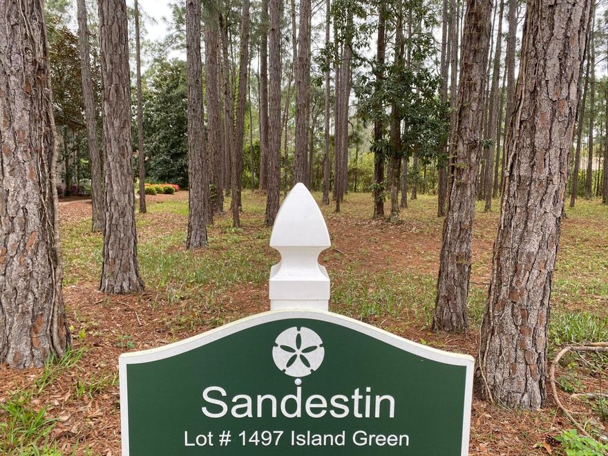 Beautiful lot in the BEST location.  The view of the 17th Hole at Raven Golf Course is right before your eyes.  This would be the perfect CUL-DE-SAC lot to build your dream home.  The seller has a 3,200 square foot home with a pool that has been designed for this lot.  Please check the documents to see the floor plan.  Many wonderful perks to living in Sandestin! You do not want to miss out on the opportunity to own this spectacular piece of prime land!