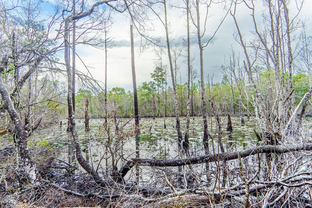 Peach Creek Phase 5 - Residential