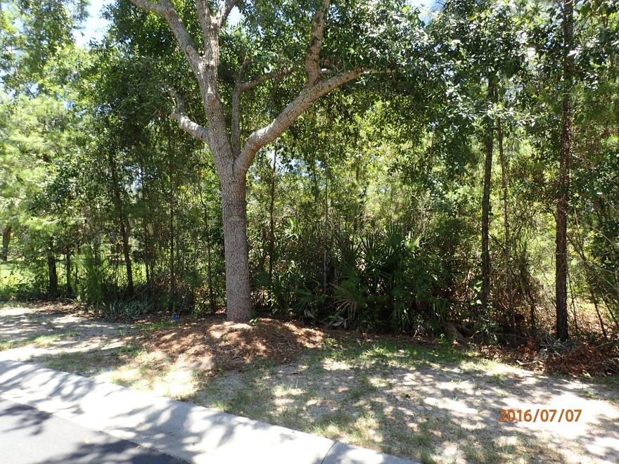 Located in the popular Botany Place gated community, this REO waterfront lot is an absolute must see. Priced to sell, this Bayou view waterfront property has right at 100 feet of waterfront, is over an acre in size and centrally located for all things Destin, San Destin, and 30A. Call today and build that dream home!