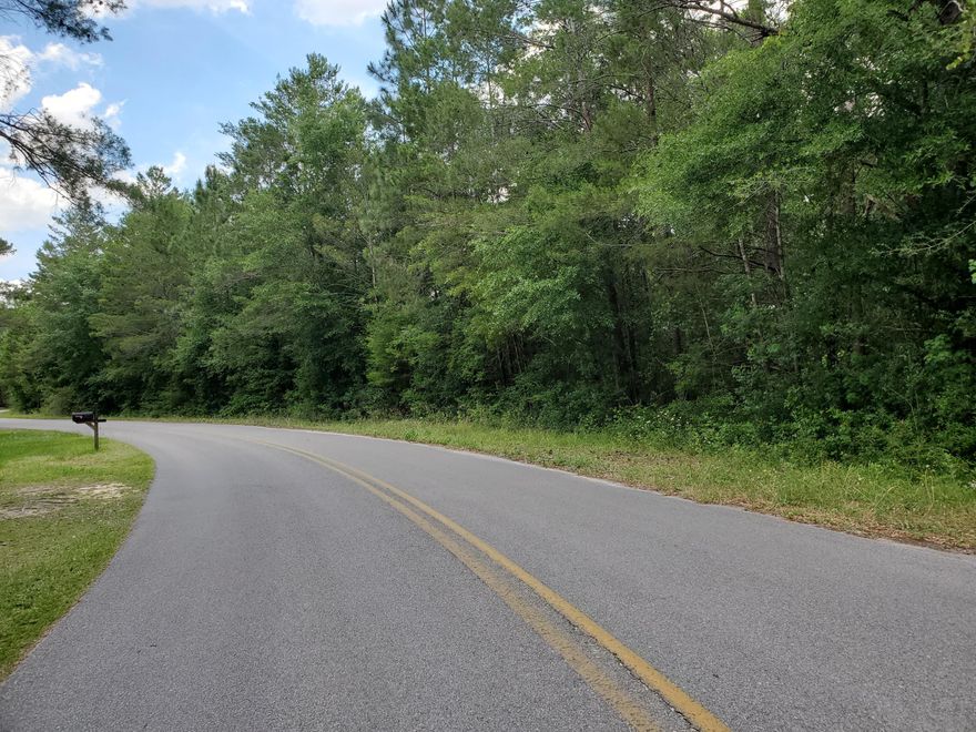 READY to build your dream home?  Look no more.  Just under an acre (.91) of ground on Juniper Lake on Marion Drive in DeFuniak Springs, Florida.  The property is just outside the city limits on a 600+ acre lake.  Electric and water are available in the area.  This property is under an hour to the most beautiful white beaches in Florida.  All dimensions are approximate.  See this one today.