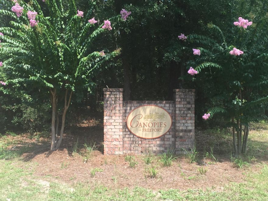 Now under construction in Canopies! 3/2 Craftsman style home with 2 car garage, Hardiboard siding and brick accents. Will have spacious great room and very large covered back porch for owners to enjoy! Perfect for retirement or small family. Community pool just a short walk down the street! Builder provides 1,2 and 10 year warranties. Closing costs paid, except prepaids, with approved lender.