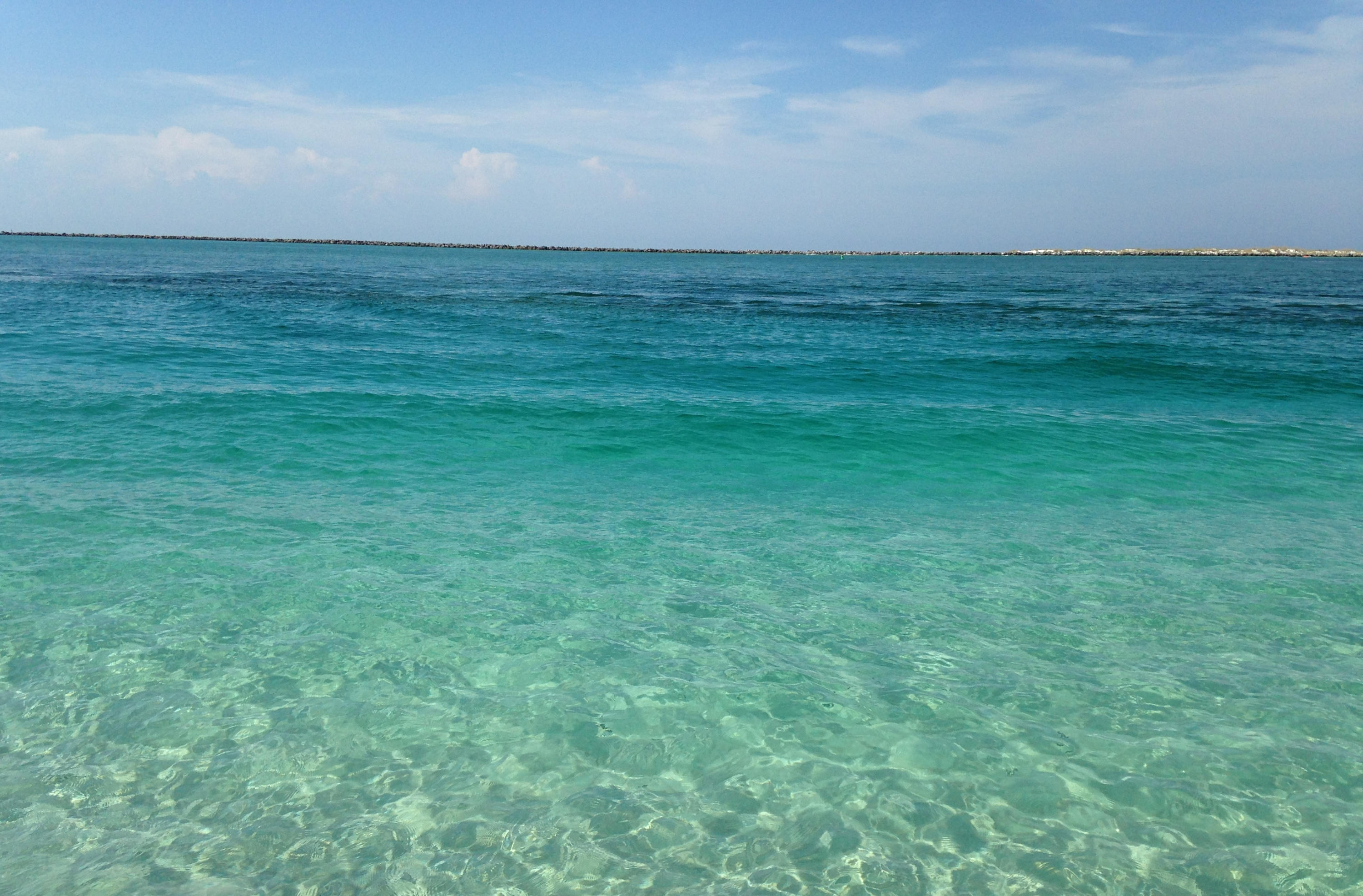 EAST PASS TOWERS CONDO PH 2 - Residential