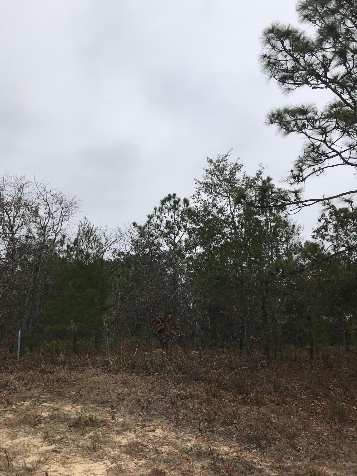 OAKWOOD HILLS UNIT 1 - Land