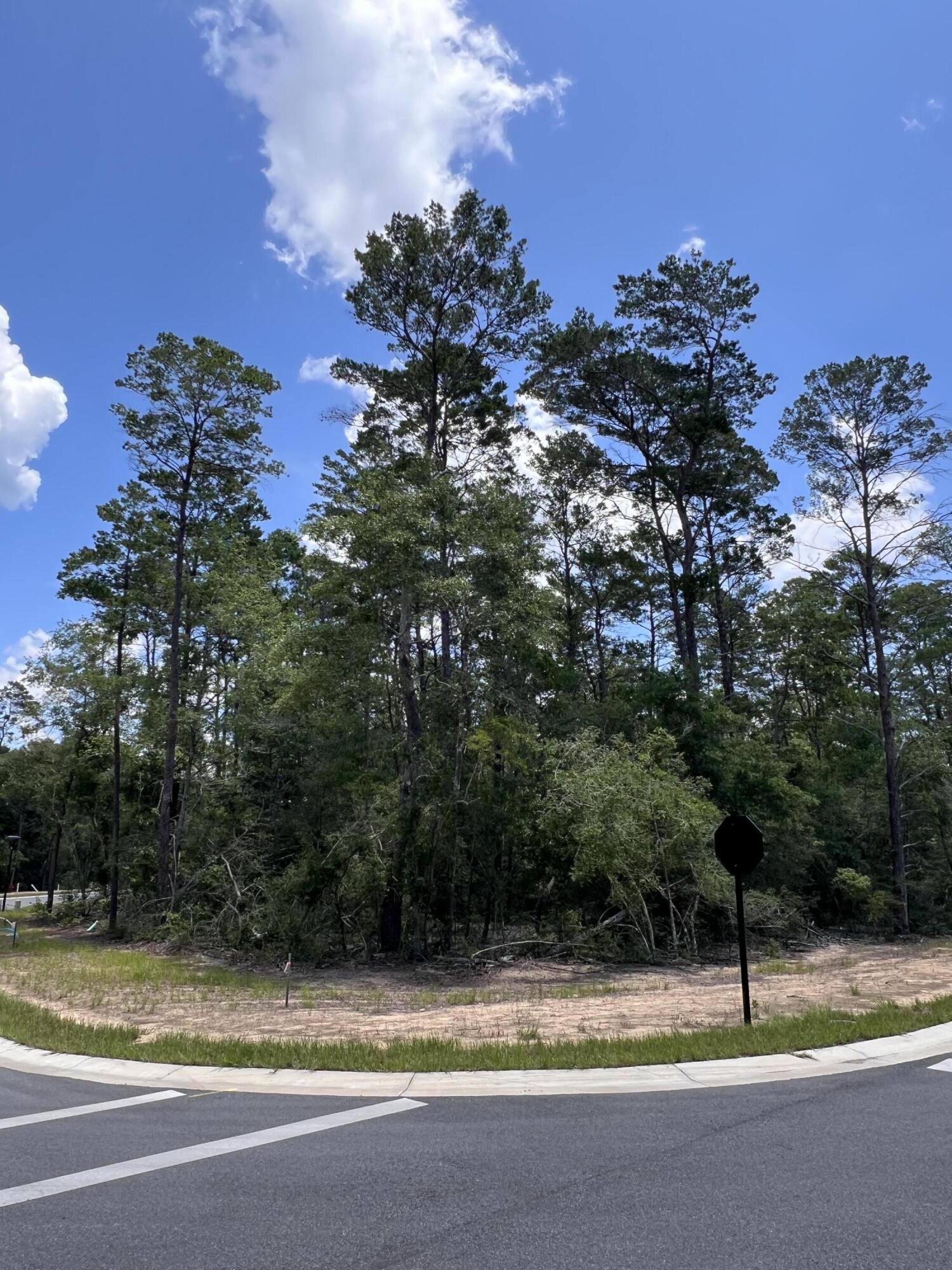 Build in Deer Moss Creek! Lot 102 for sale in Phase 11 DEER MOSS CREEK, in Niceville, FL. Deer Moss Creek is a 1,100 acre , master planned, mixed use community in Nicevil;le, FL. Community pool, clunhouse, small childrens park and half basketball trails. Community plans include natyre traisl, more phases, bike planes, parks, pools, office and retail spaces. Sidewalks are 5 ' wide and all home plans to be approved by the Town Architect. Come build with us!!