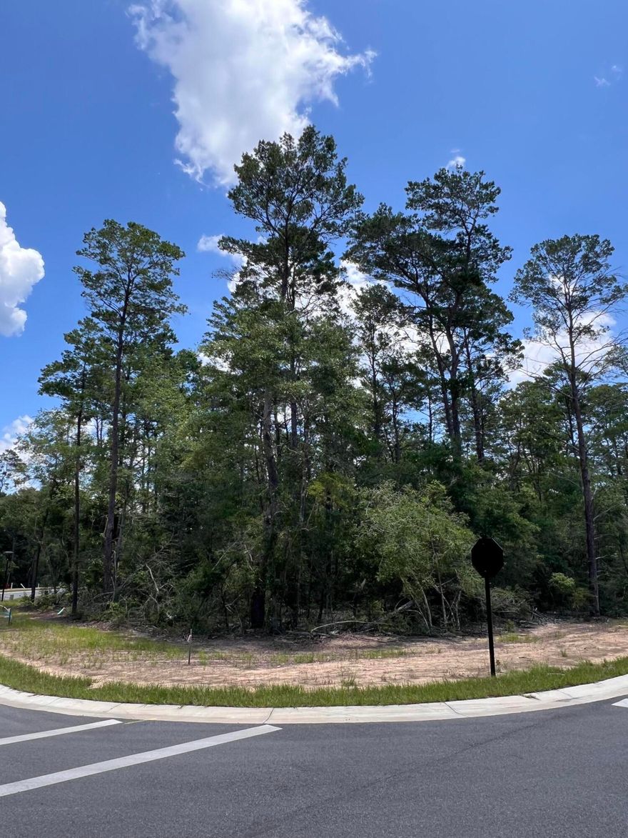 Build in Deer Moss Creek!  Lot 102 for sale in Phase 11 DEER MOSS CREEK, in Niceville, FL.  Deer Moss Creek is a 1,100 acre , master planned, mixed use community in Nicevil;le, FL.  Community pool, clunhouse, small childrens park and half basketball trails.  Community plans include natyre traisl, more phases, bike planes, parks, pools, office and retail spaces.  Sidewalks are 5 ' wide and all home plans to be approved by the Town Architect.  Come build with us!!