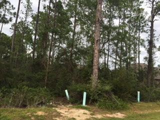 Harstvedt Plantation - Land