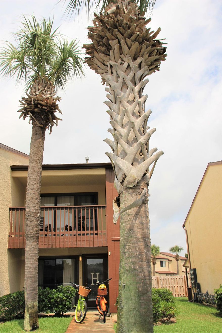 This is a great unit that has just been remodeled. The epoxy floors are awesome. They are easy to clean and indestructible. Beachwalk units are in high demand and don't stay on the market long. This unit is right across the street from the pool and a short walk to the beach. This is a non-rental unit and has been well taken care of. The HOA has low fees but is a very well managed association. If you are looking to move to the beach, you want a second home, or a money making investment, this is a great unit. Call today for a private showing.