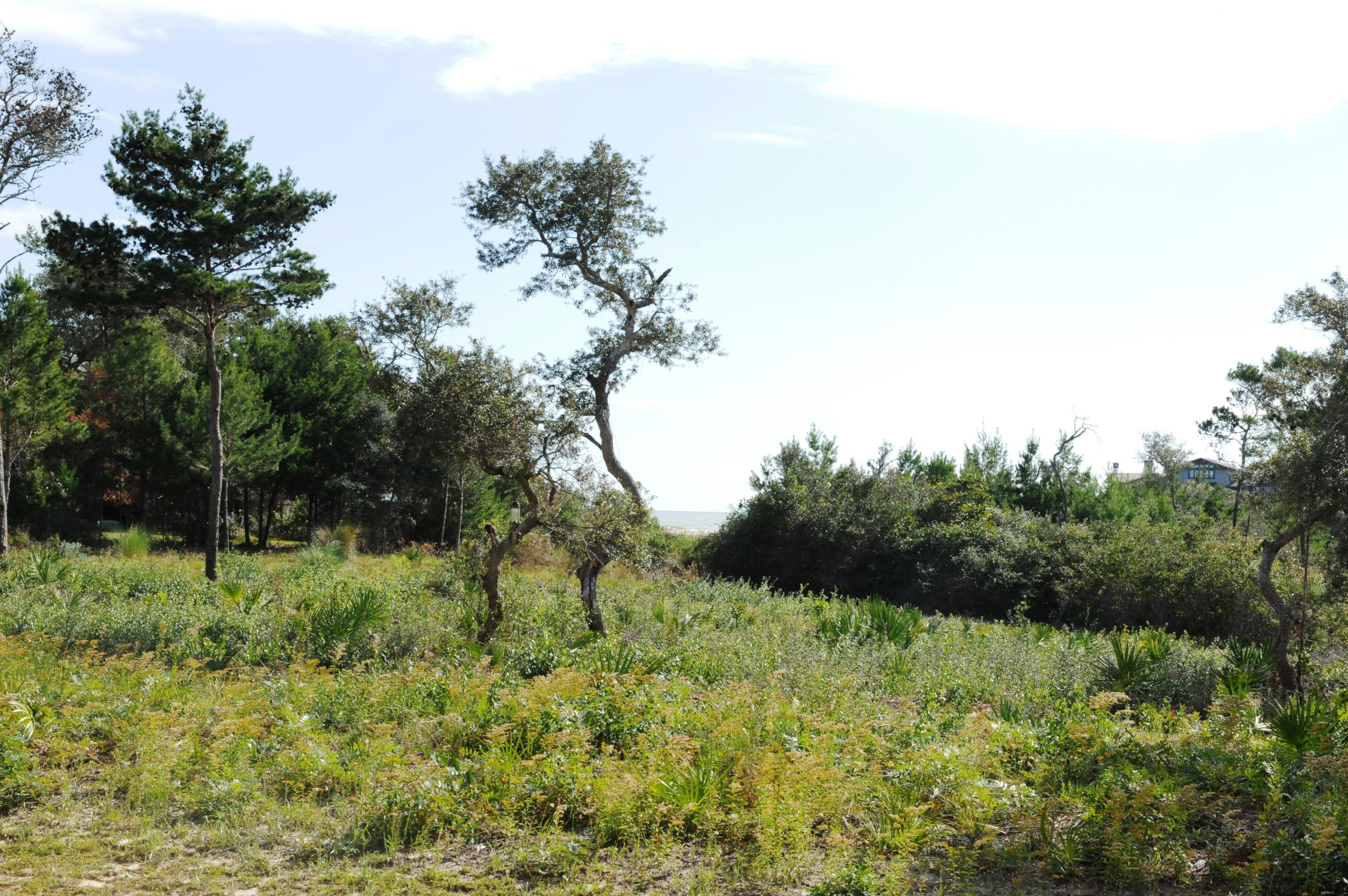 SANCTUARY AT REDFISH - Residential