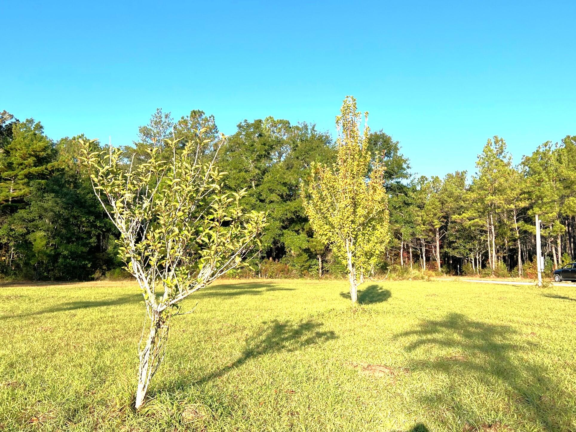 METES & BOUNDS - Land