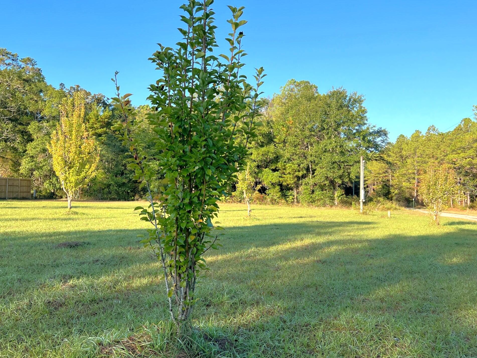 METES & BOUNDS - Land