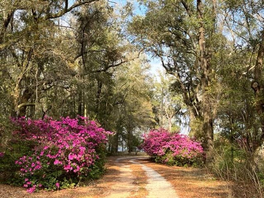 SINGLE FAMILY WATERFRONT DEVELOPMENT OPPORTUNITY in Northwest Florida ~ 37 acres located in the Bagdad area, just south of Milton, FL in Santa Rosa County.  This 'high & dry' parcel is ready for a master planned single family development.  Seller has a wetland delineation as well as a conceptual site plan to share.  The Bagdad area is located just north of I-10 off of Exit 26.  This bedroom community has tremendous history dating back to the early 1800's.  This parcel sits on East Bay with the Blackwater River flowing south into the area.  This parcel has approximately 1200' of waterfront.  There are several very nice waterfront communities to the south of this site which gives you an idea of the type of communities this parcel can be developed into.